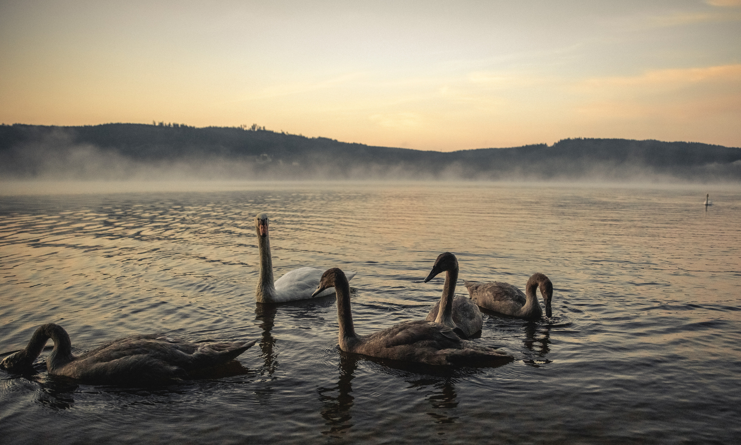 Kontakte. LUKIN IGOR Photography