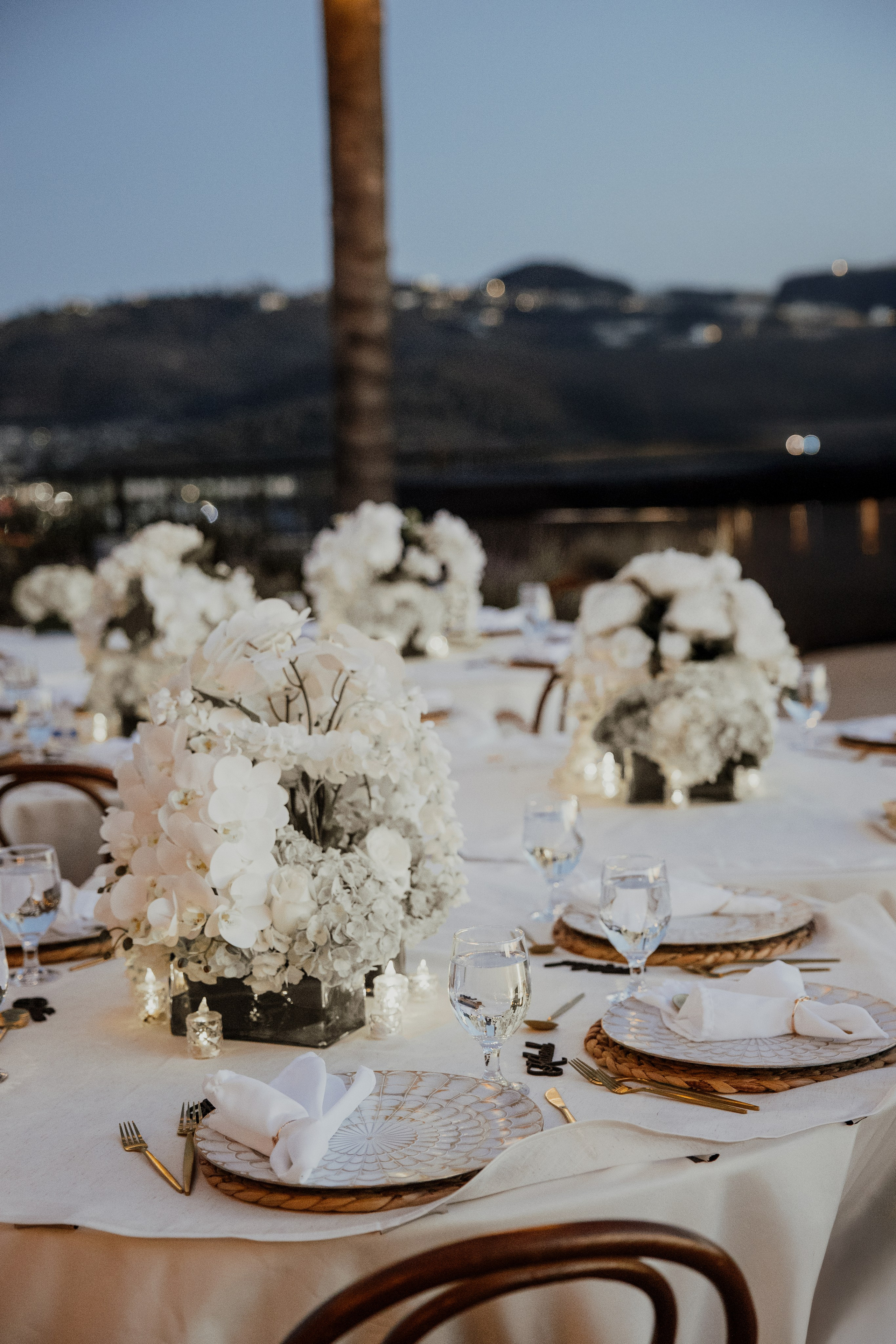 Drew and Haley. Wedding and family photographer San Diego