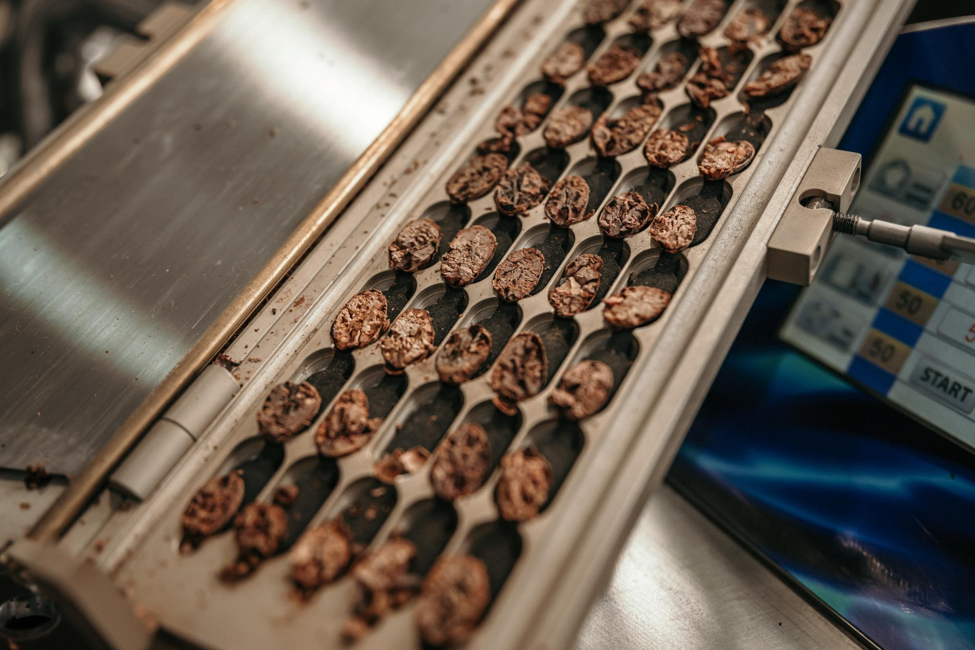 Festival Internacional de Chocolate 🍫 1 fim de semana. Beyond Creative 20 | Cinematic Video & Photography Production Lisbon & Algarve