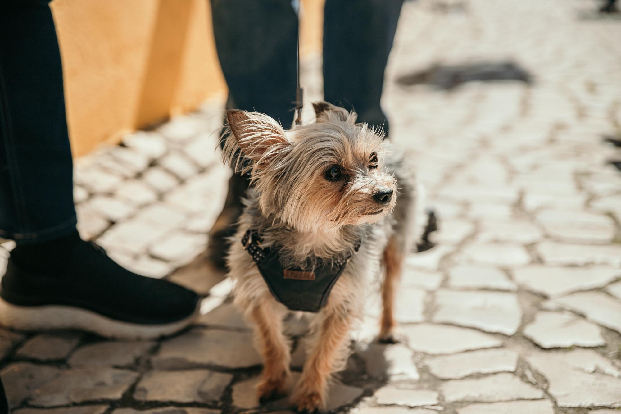 Festival Internacional de Chocolate 🍫 2 fim de semana. Produtora de Vídeo e Fotografia Cinematográfica | Beyond Creative 20 Portugal Lisboa