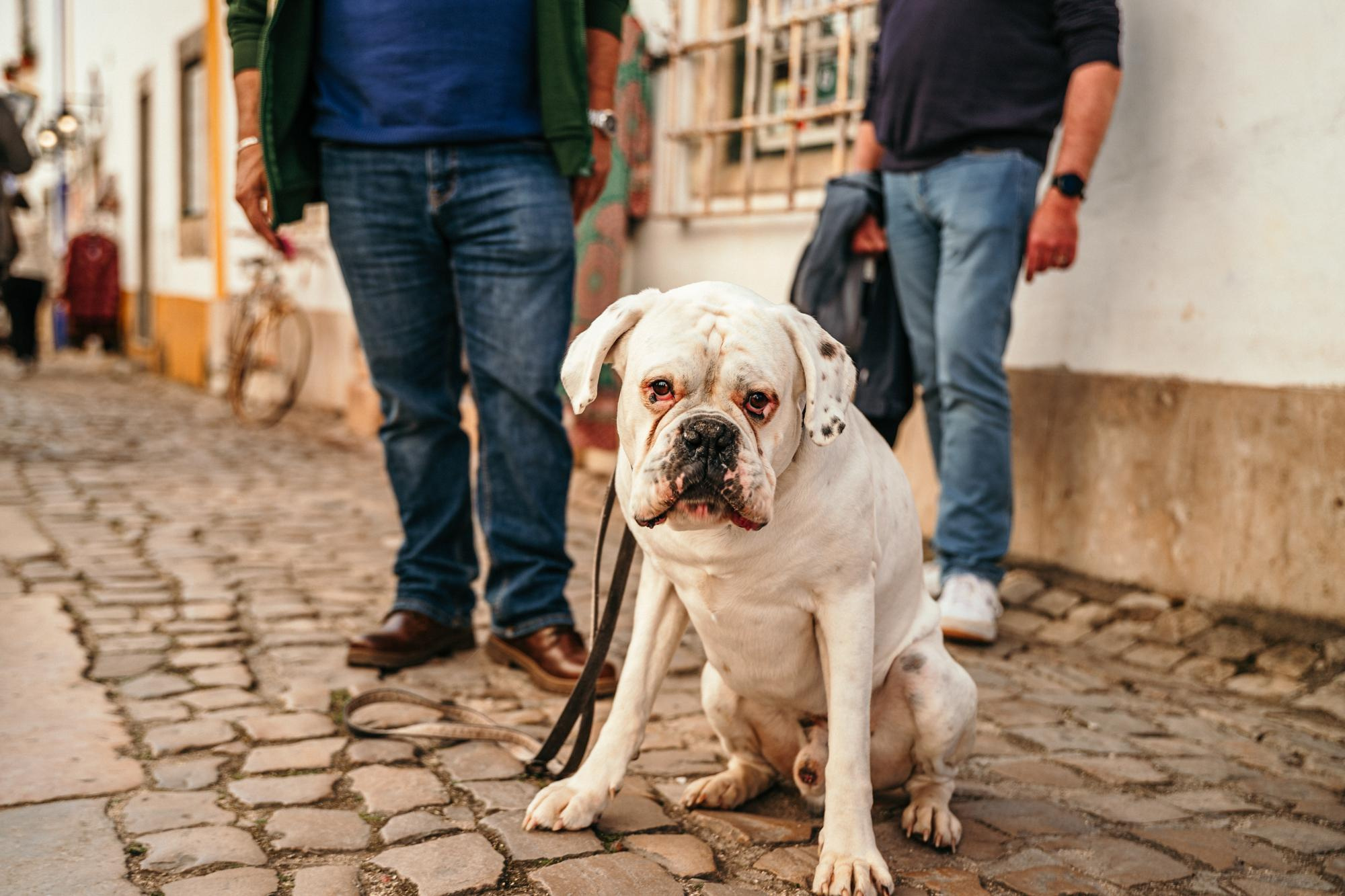 Festival Internacional de Chocolate 🍫 2 fim de semana. Produtora de Vídeo e Fotografia Cinematográfica | Beyond Creative 20 Portugal Lisboa