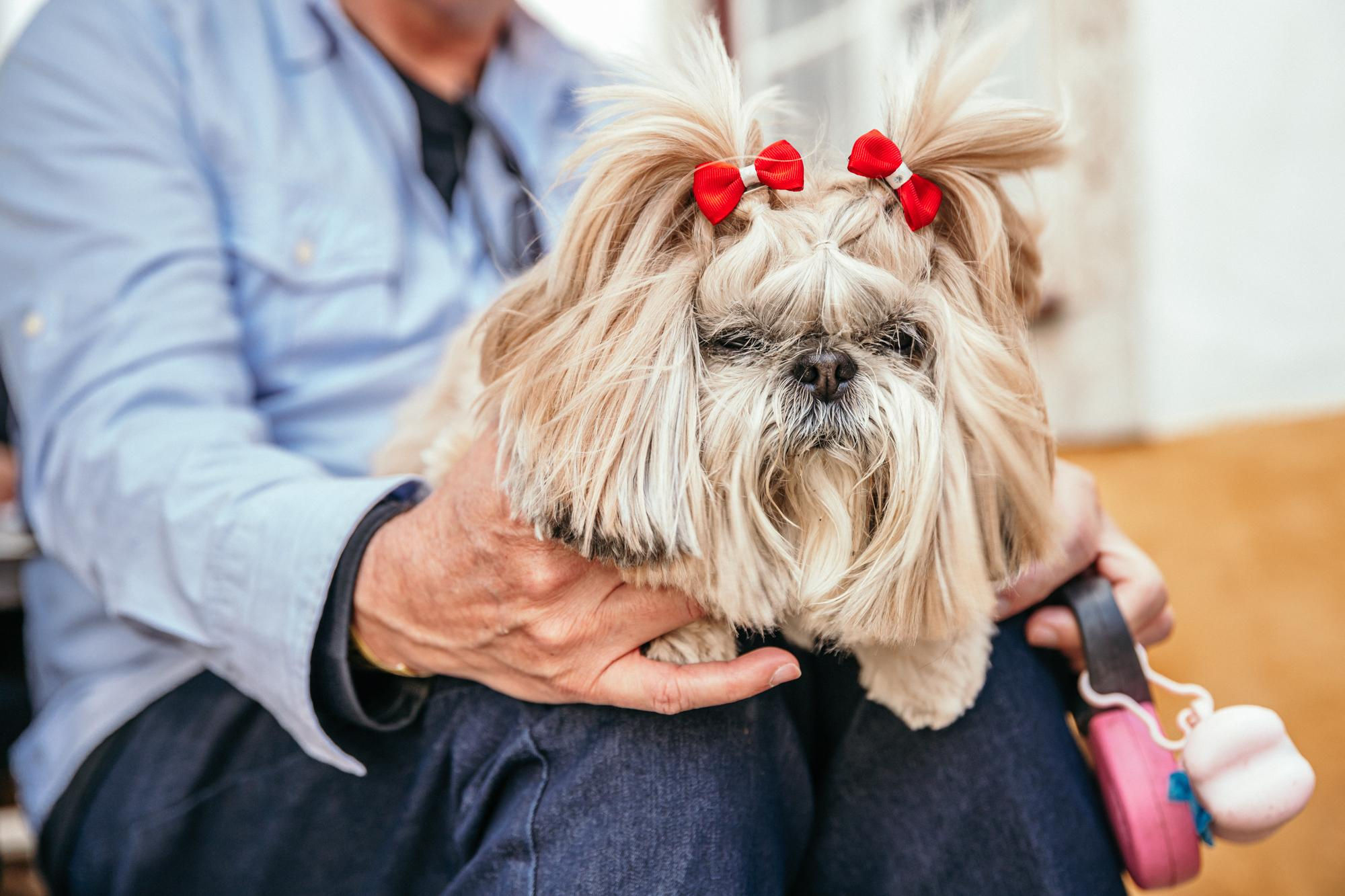 Festival Internacional de Chocolate 🍫 2 fim de semana. Produtora de Vídeo e Fotografia Cinematográfica | Beyond Creative 20 Portugal Lisboa