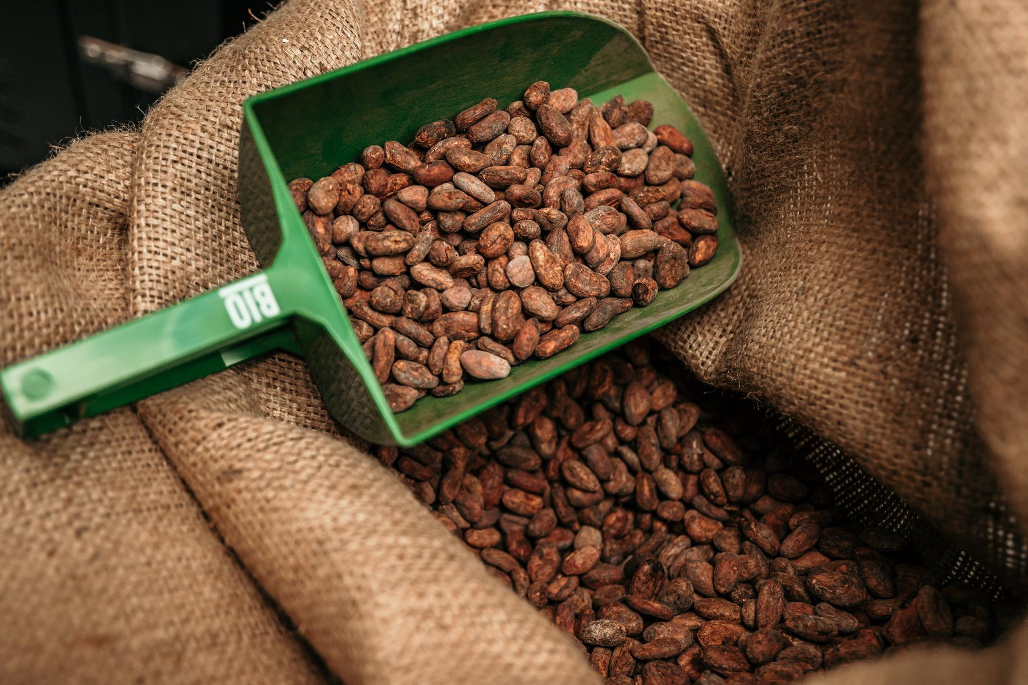 Festival Internacional de Chocolate 🍫 1 fim de semana. Beyond Creative 20 | Cinematic Video & Photography Production Lisbon & Algarve