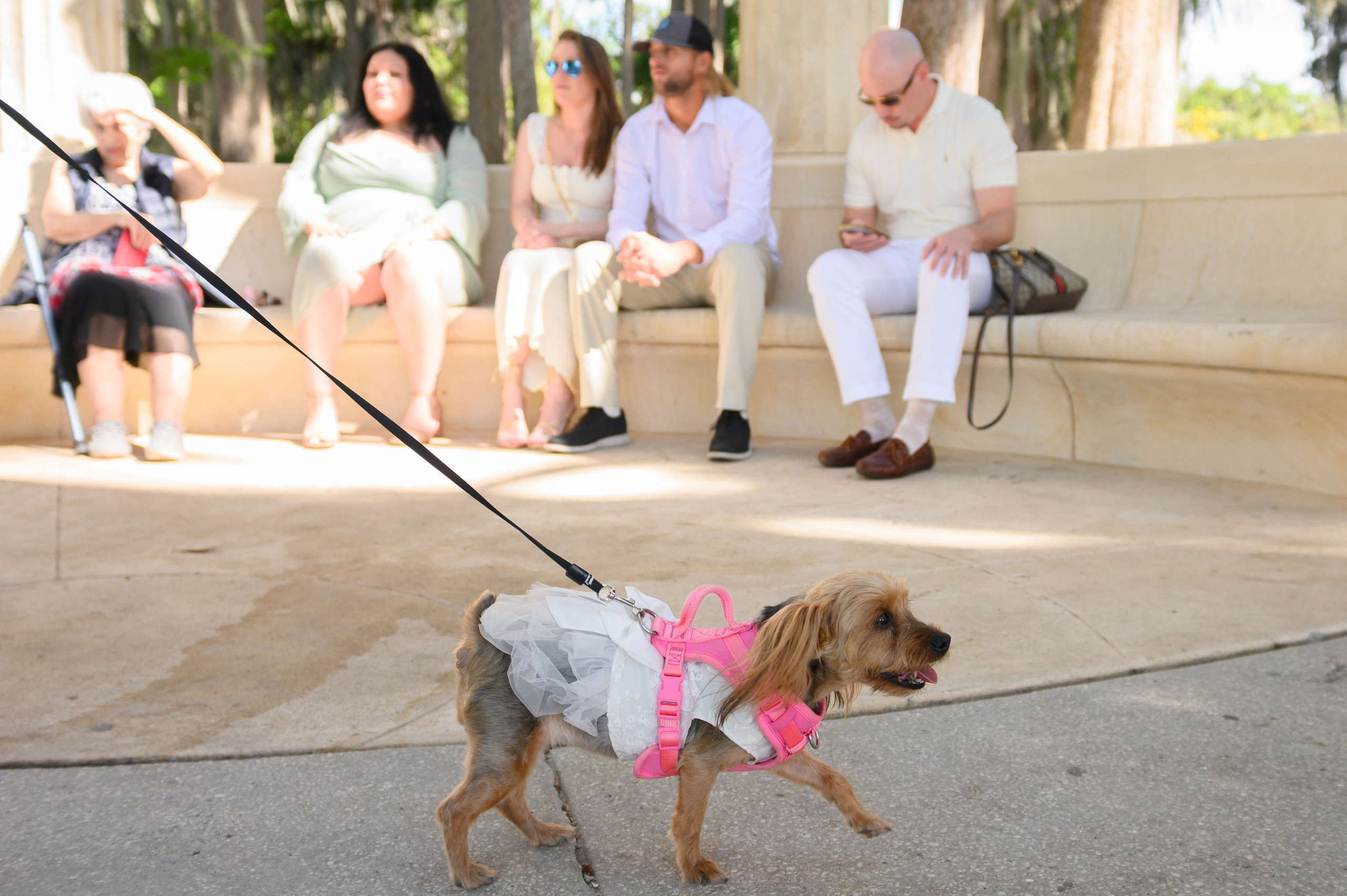 Y + C. Wedding photographer in Orlando, Boston & New York Anderson Marques