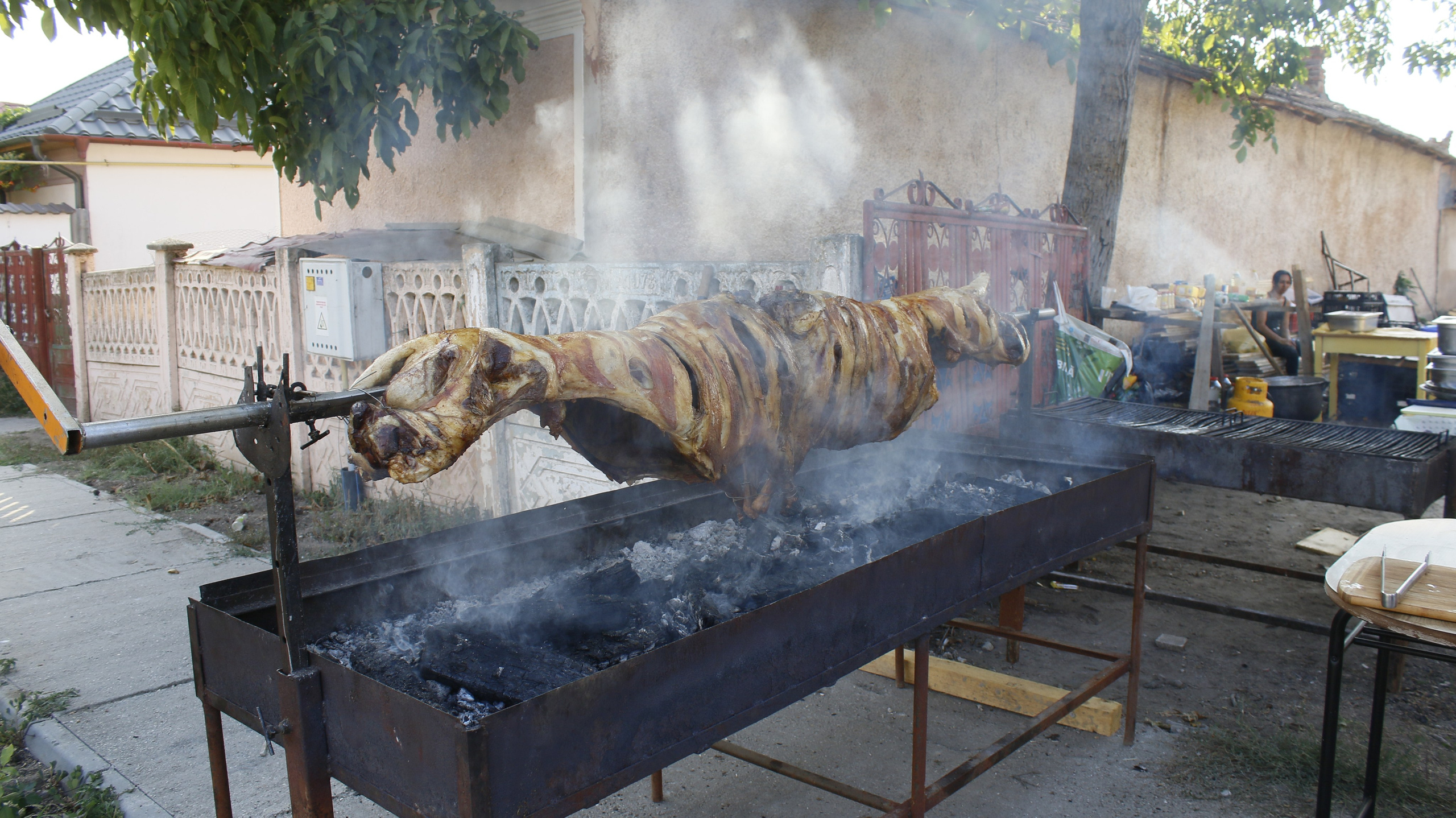 22 08 2024. PETRU BYZO - family and children photographer in ROMANIA