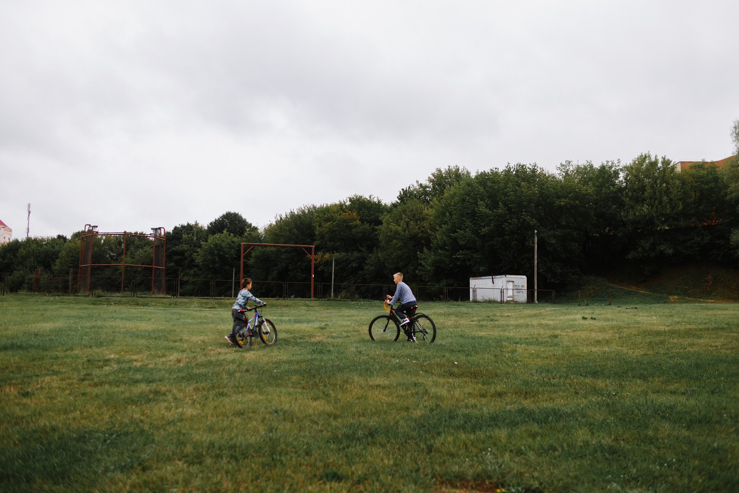 Grodno. Kaja | fotograf we Wrocławiu | ludzie i psy