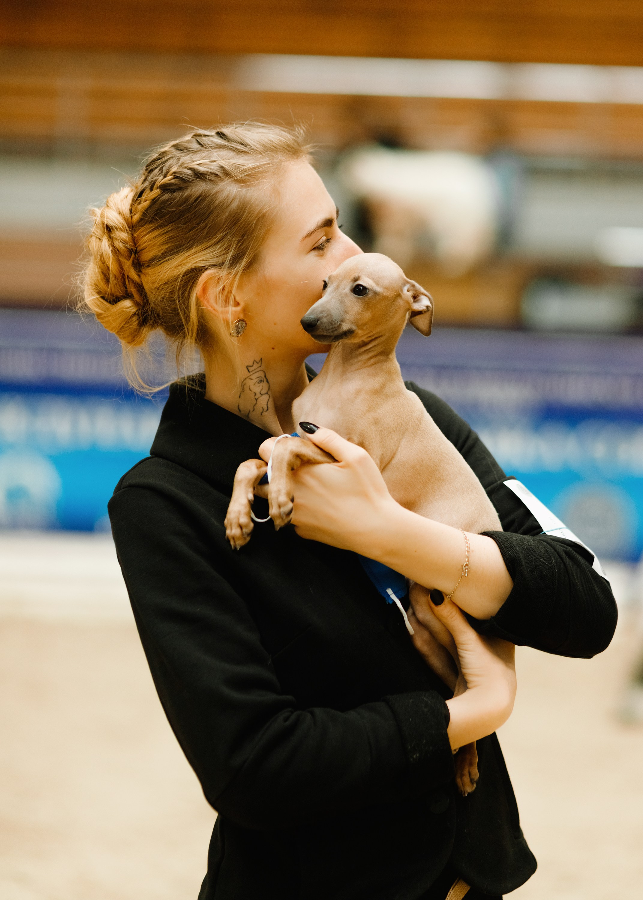 Dog shows | the best ones. Kaja | fotograf psów we Wrocławiu