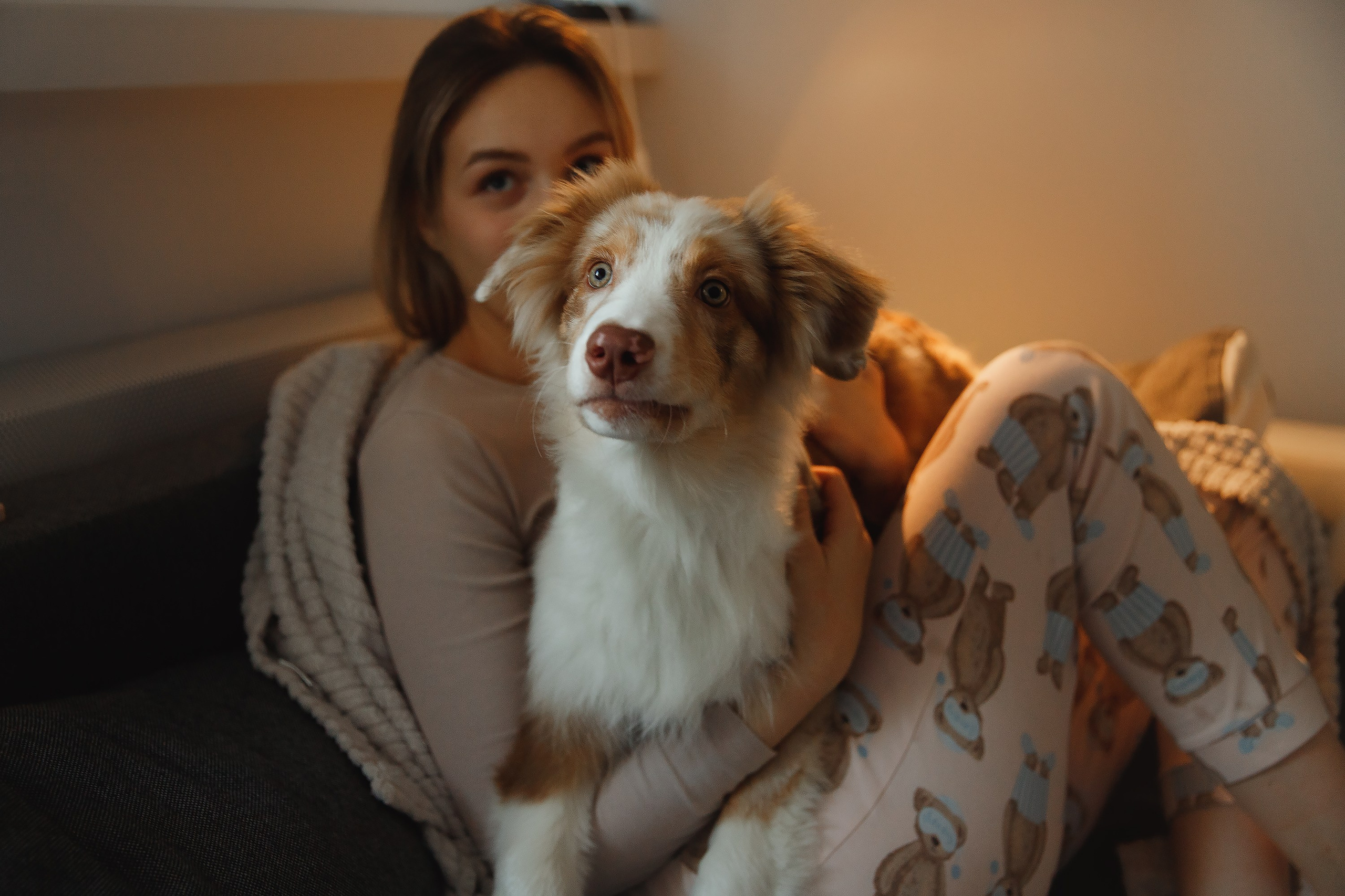 Fotografia psów Wrocław. Kaja | fotograf we Wrocławiu | ludzie i psy