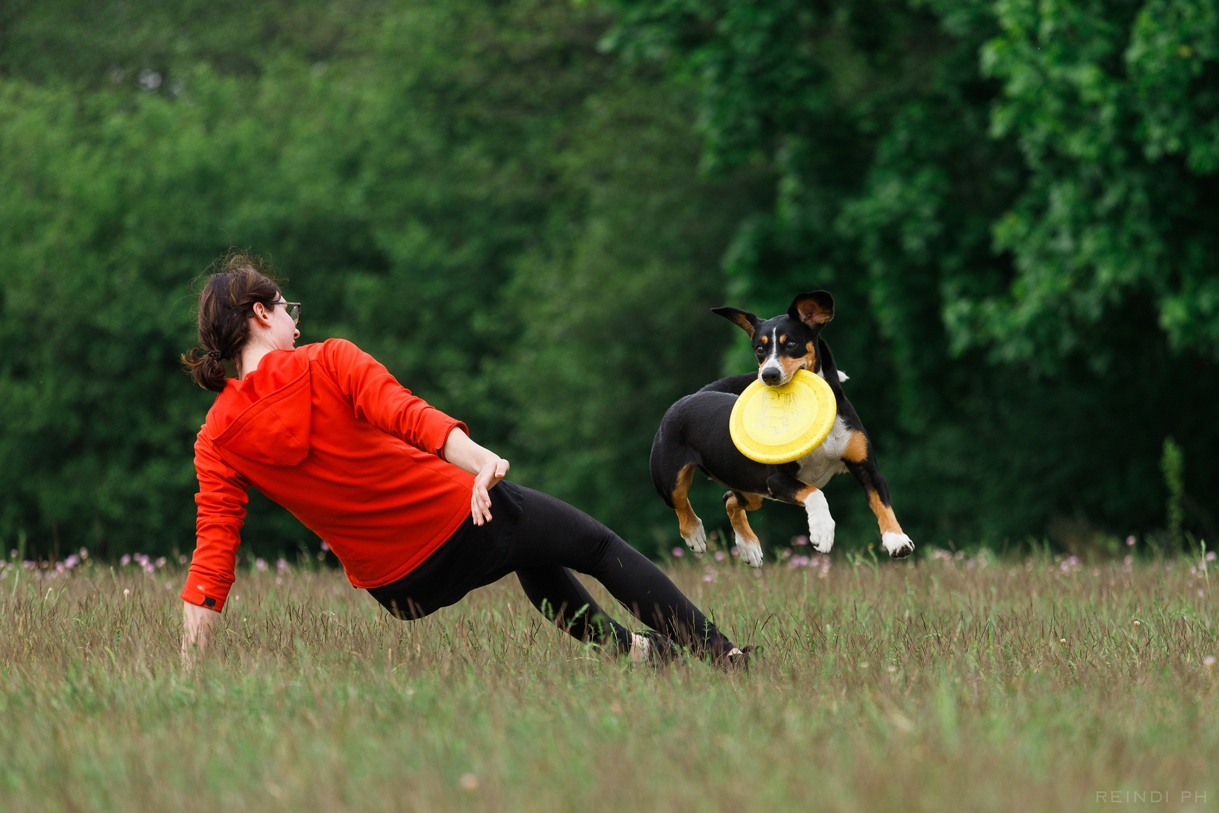 Dog frisbee championship | summer. Kaja | fotograf we Wrocławiu | ludzie i psy