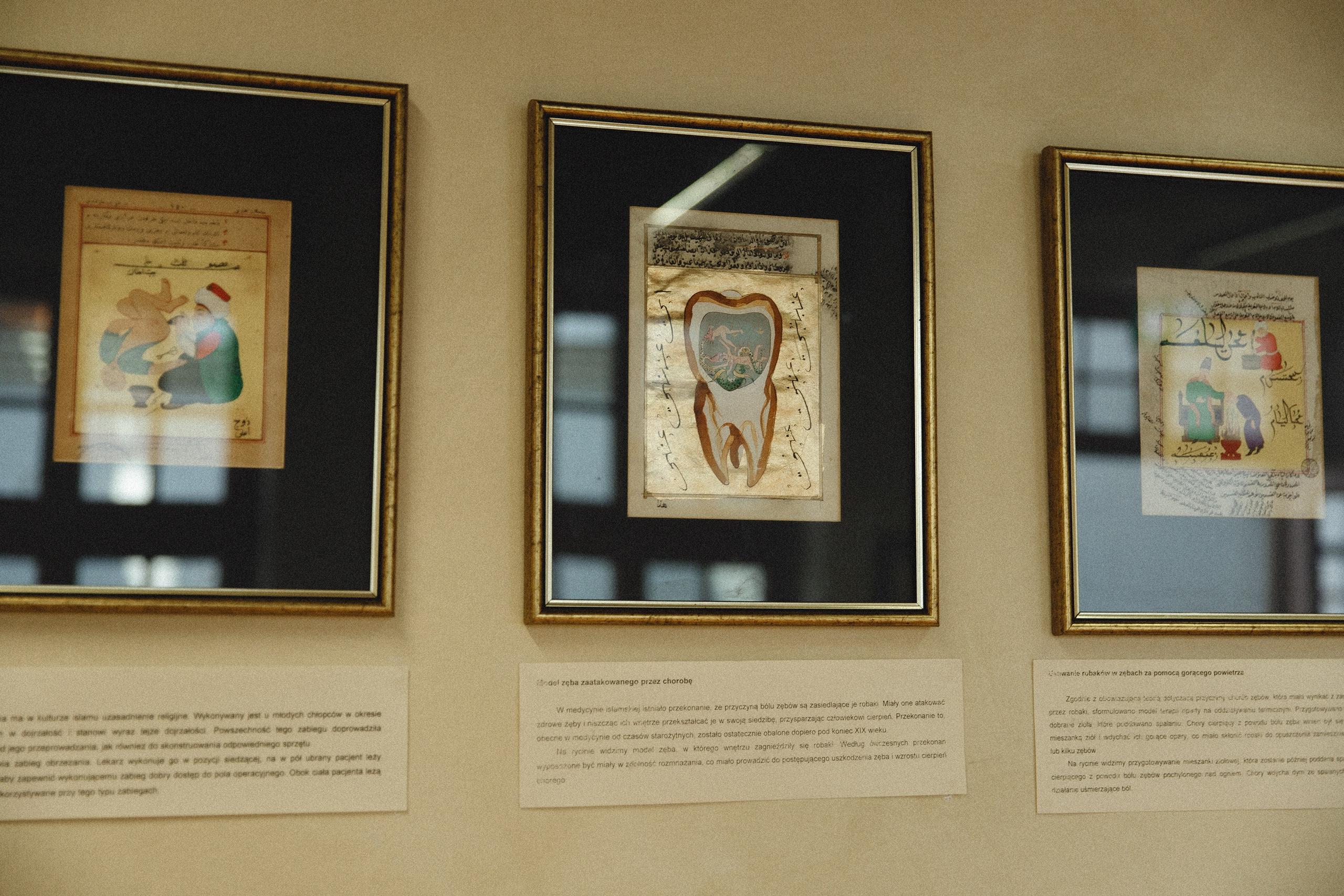 Museum of farmacy in Wroclaw. Kaja | fotograf we Wrocławiu | ludzie i psy