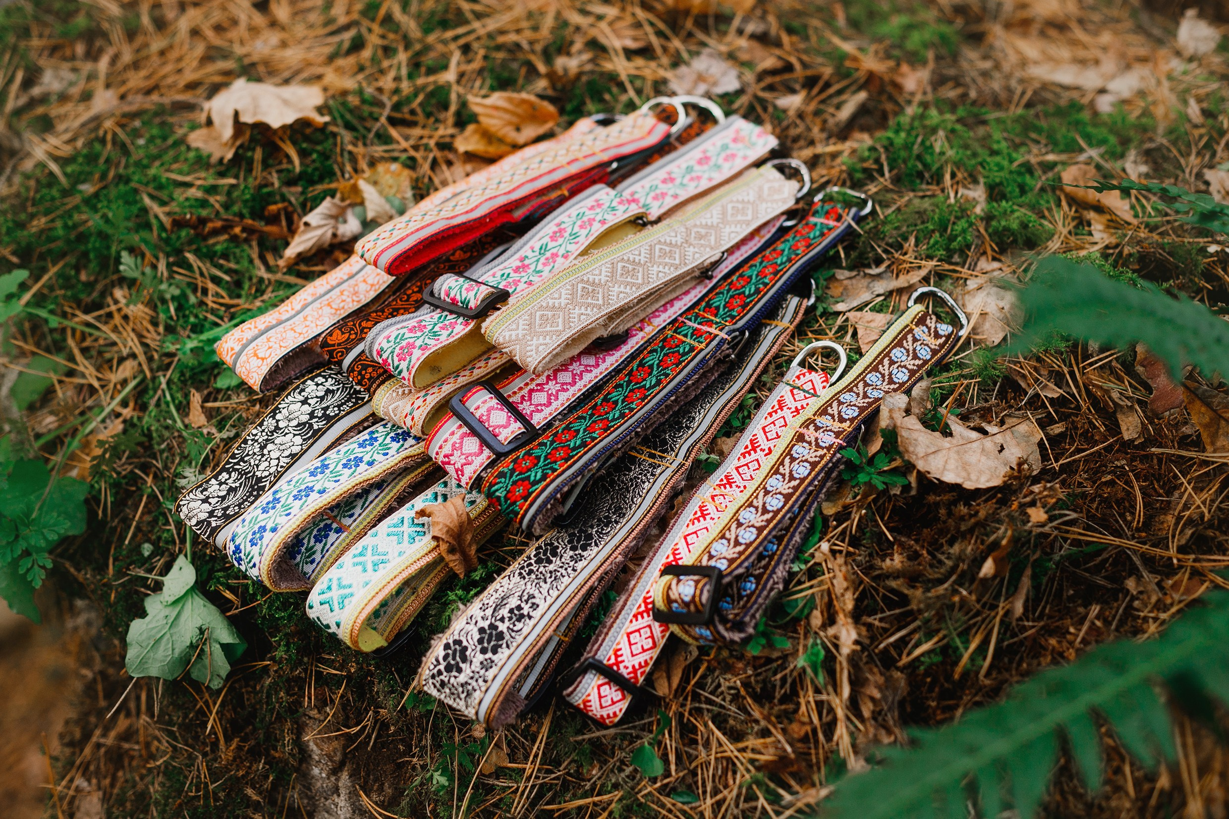 «Kasmach» dogs ammunition. Kaja | fotograf we Wrocławiu | ludzie i psy