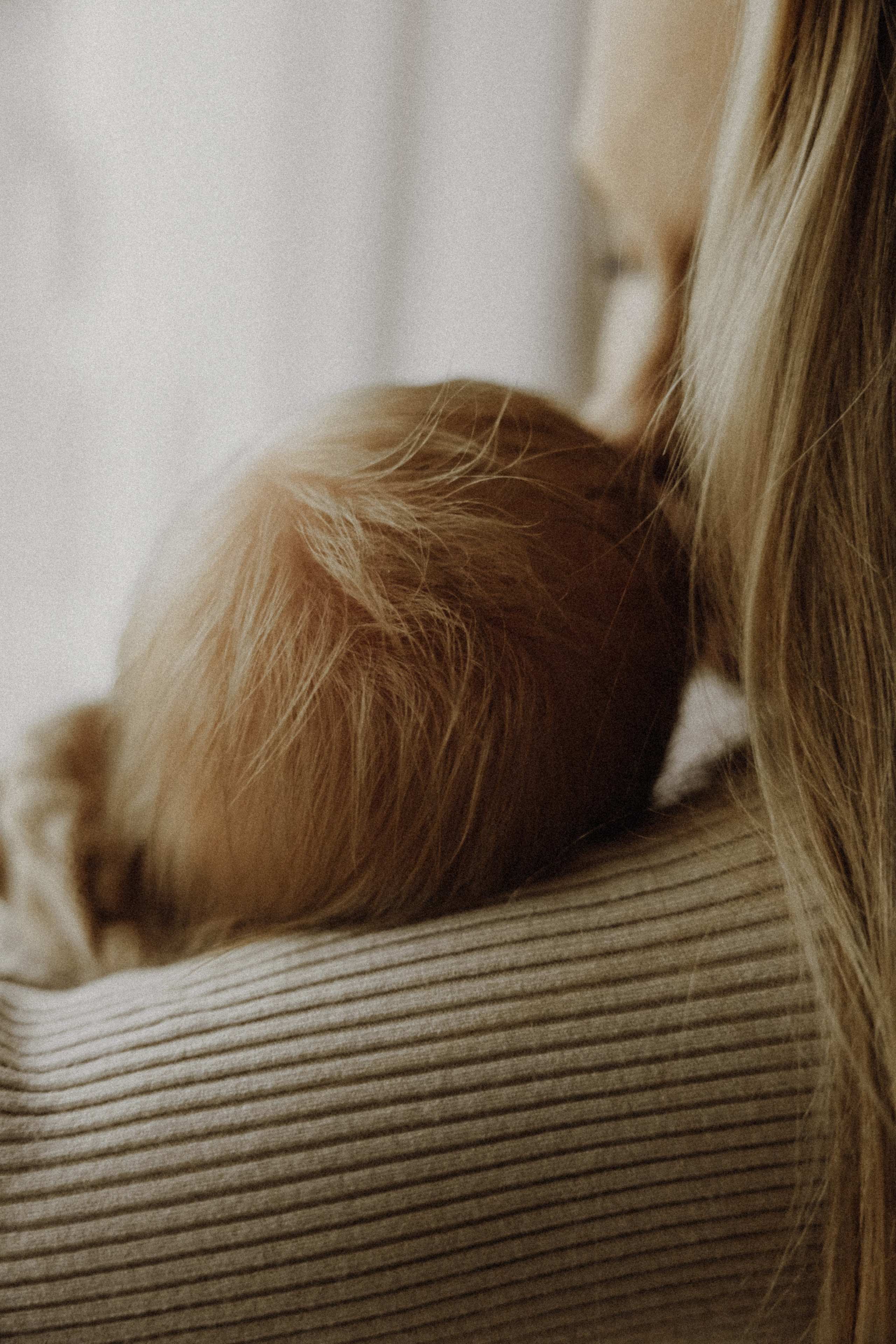 Baby Boy. Фотограф Ирина Йотова