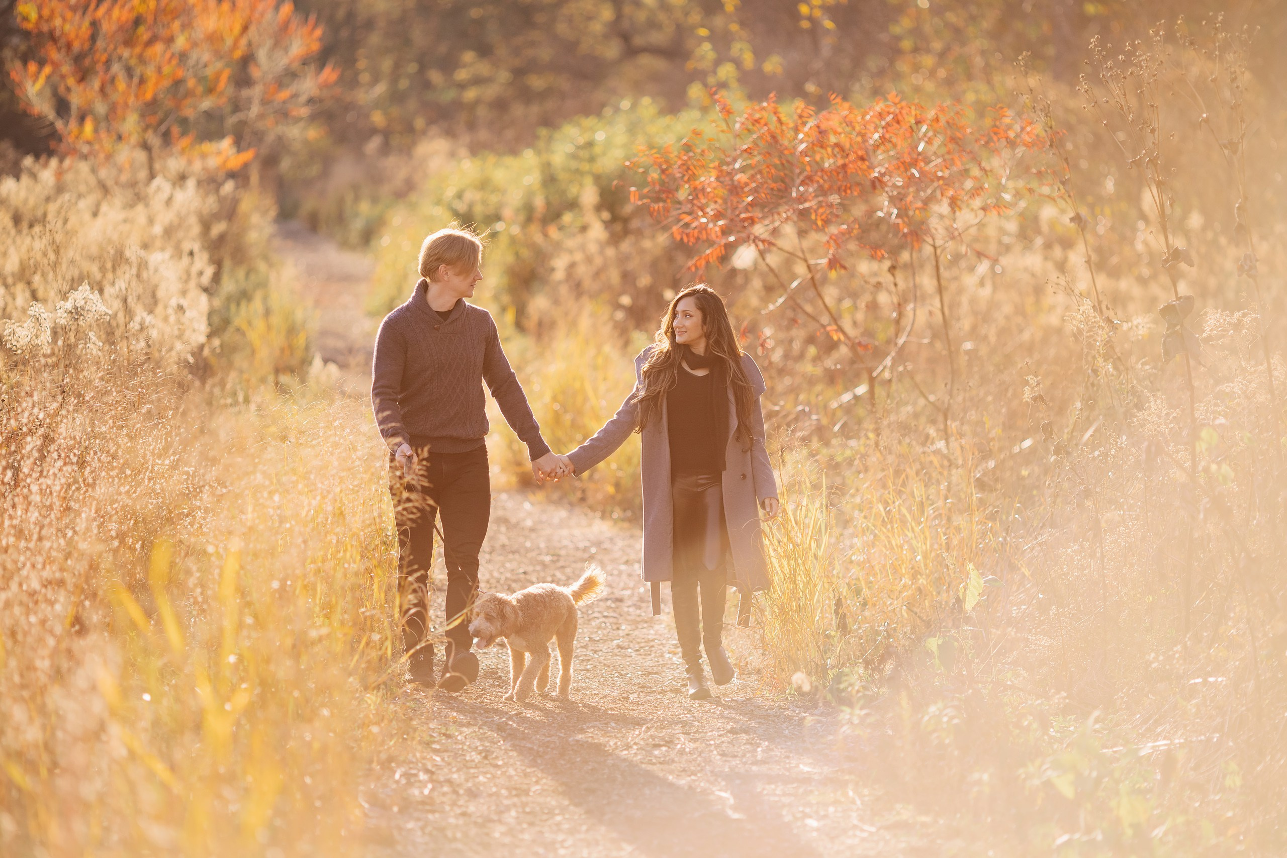 11.02.2024 Love Story. Wedding family event photographer in Chicago Nick Yushevich