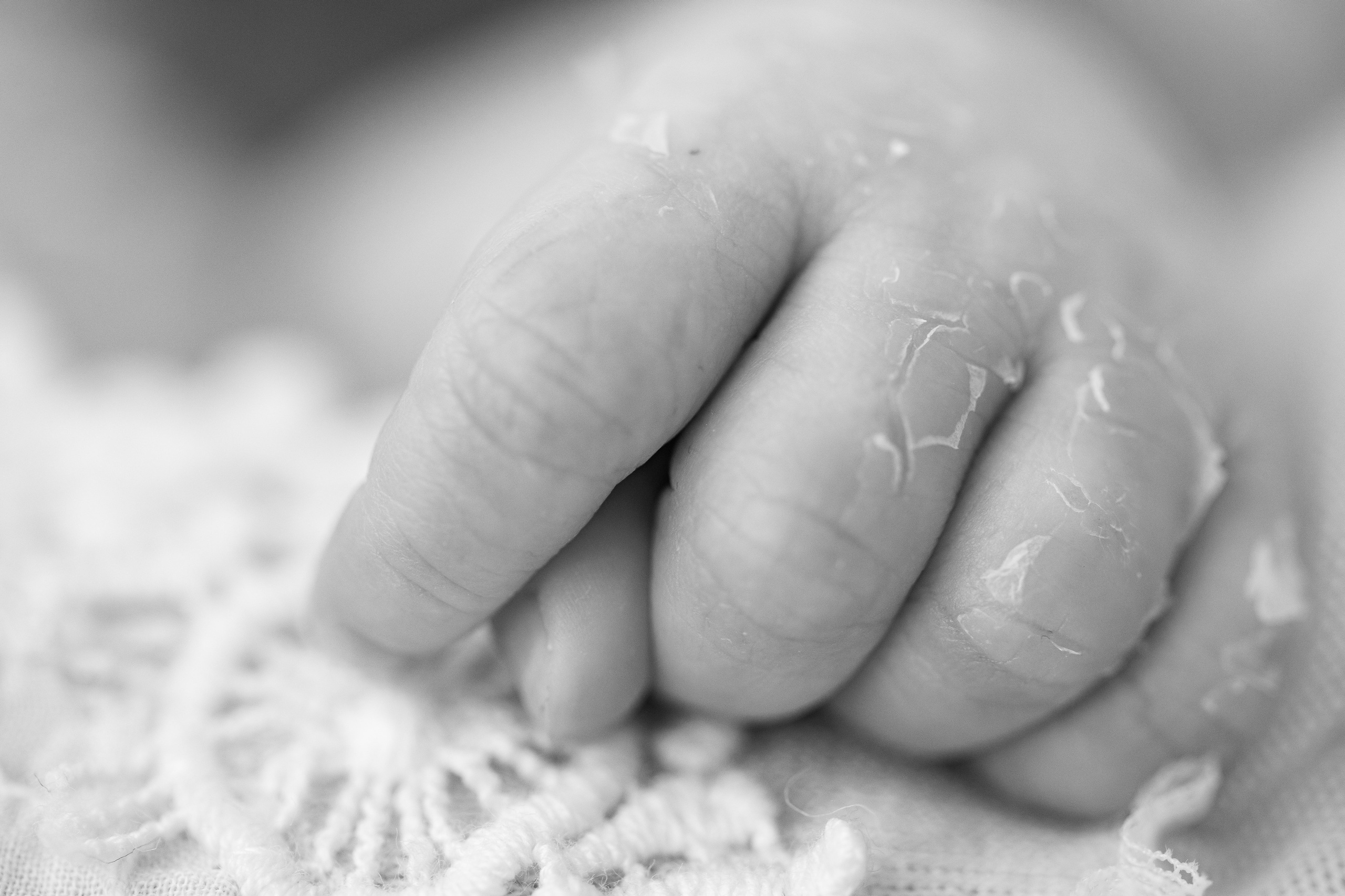 Newborn focení, Novorozenecké focení. Svatební fotograf a kameraman v Česku a po celé Evropě — Teplice, Ústí nad Labem, Praha, Drážďany