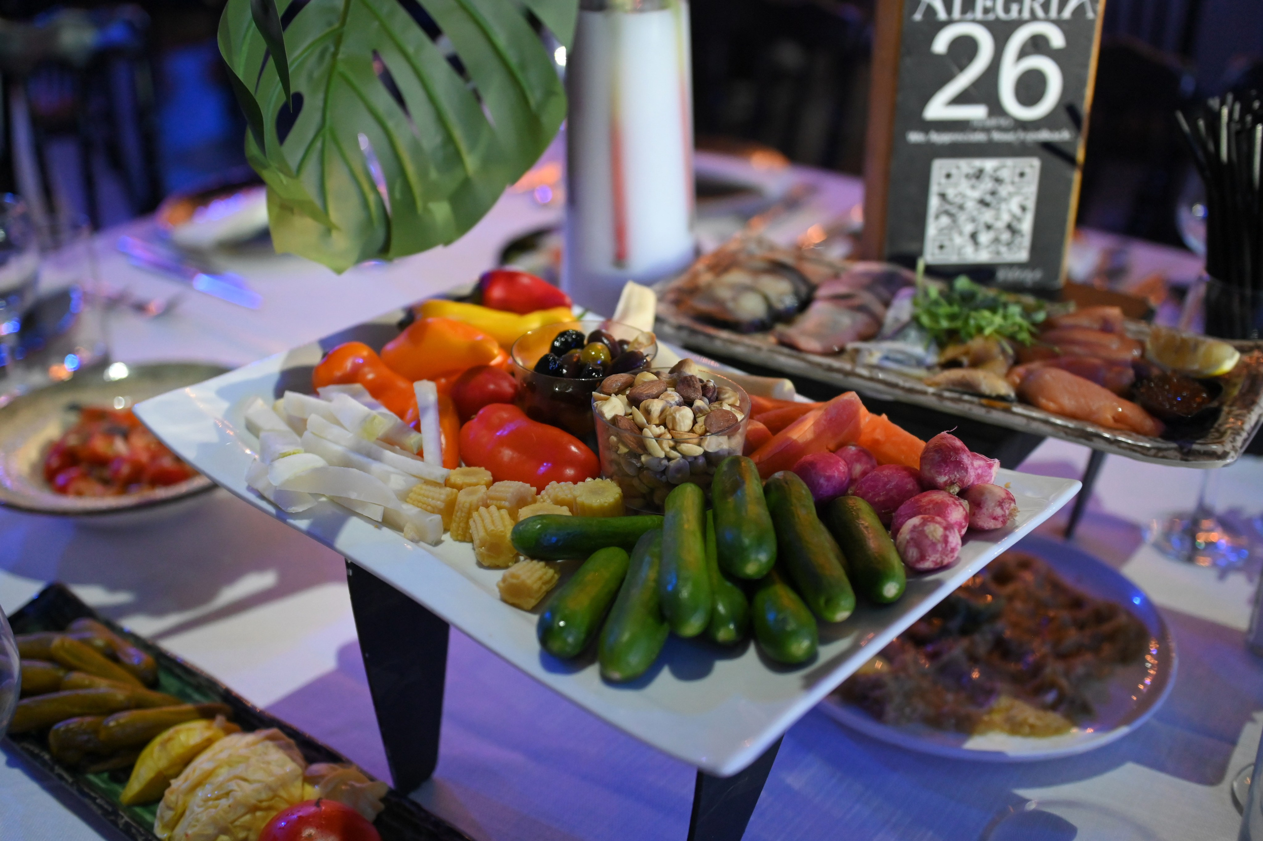 Ronen & Mazal. Wedding and events photographers Studio Shalom