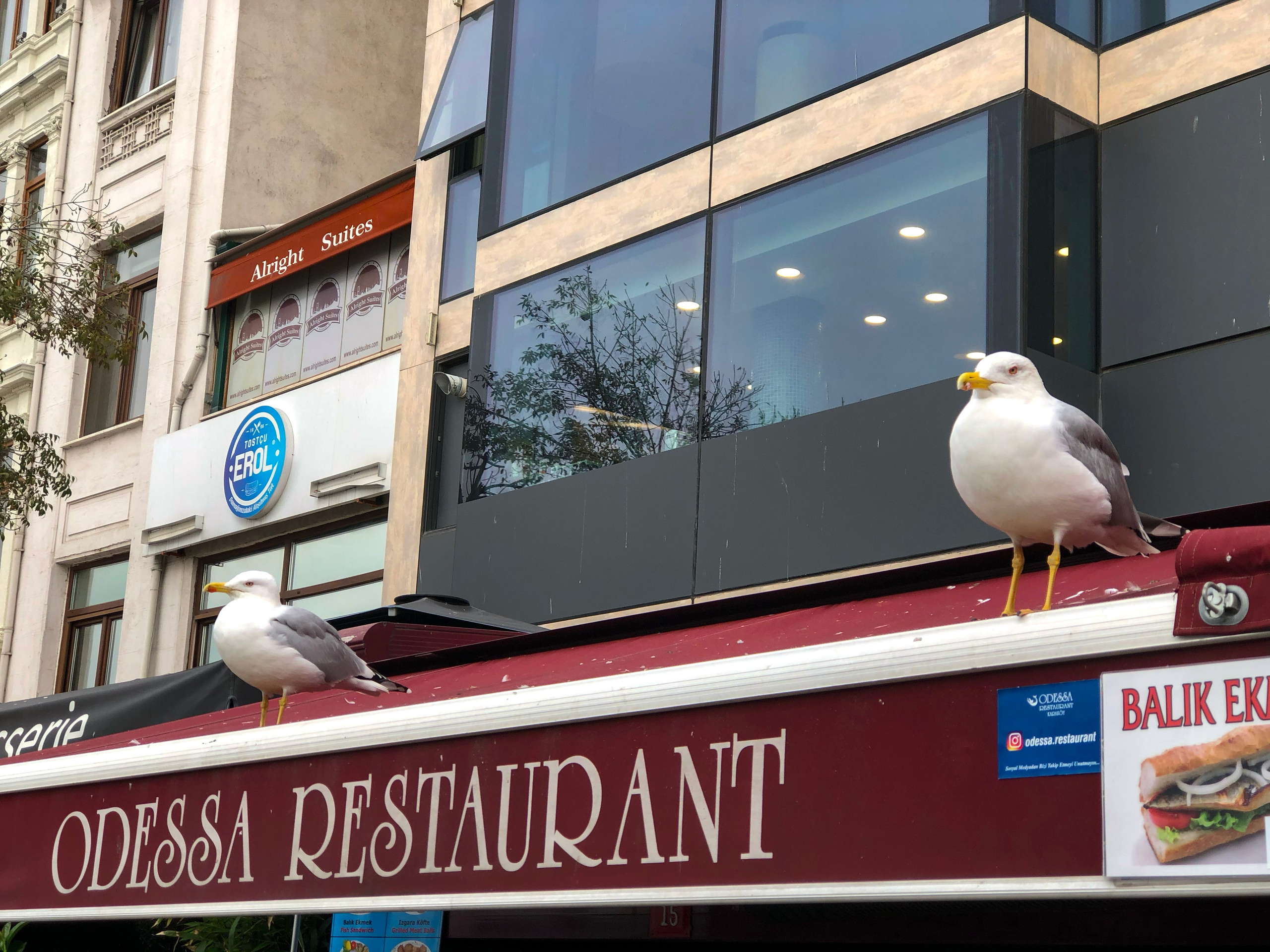 Istanbul. BNW Around Photography