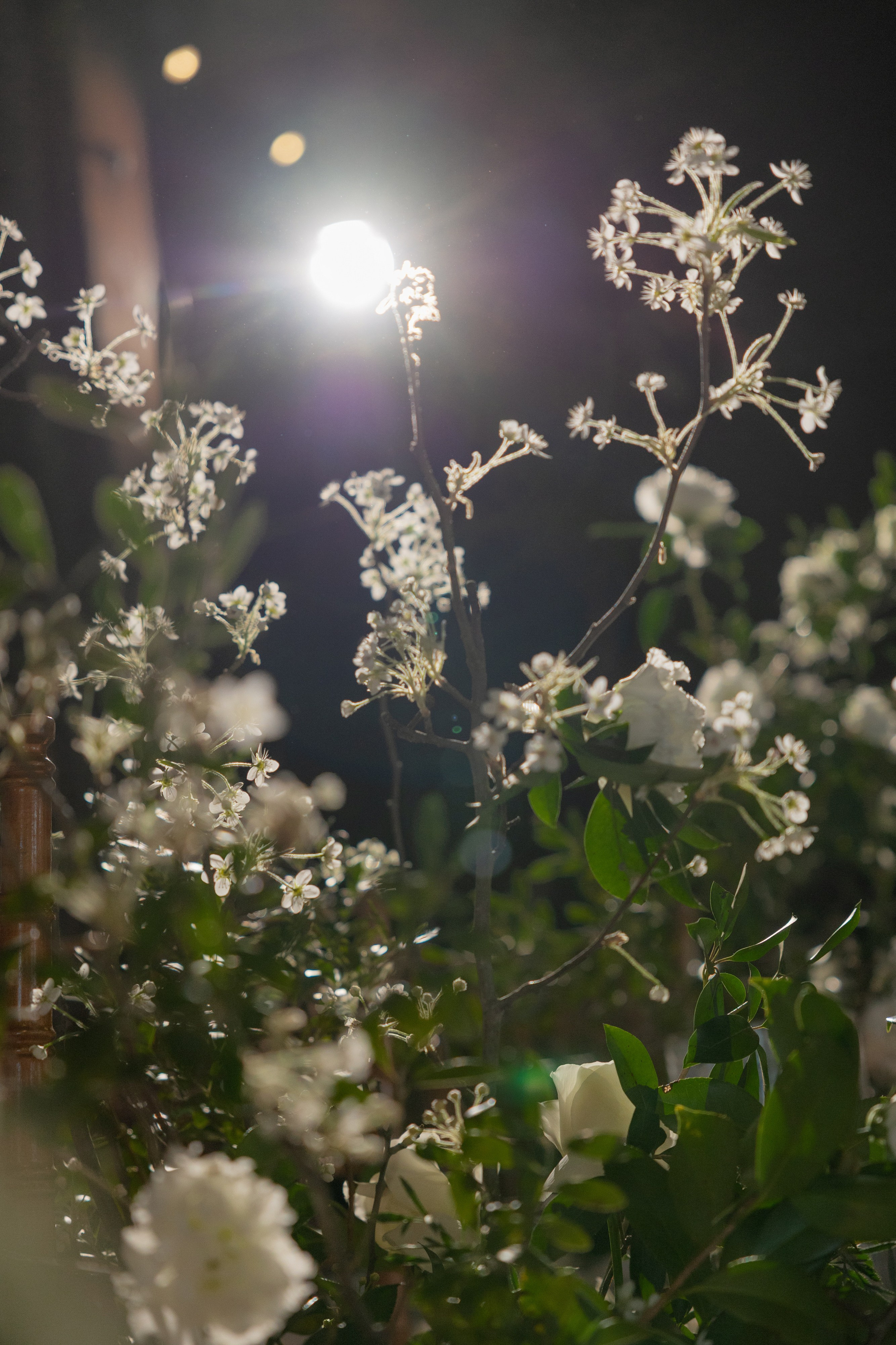 Lauren and Jonah. Wedding photographer and videographer New York | New Jersey