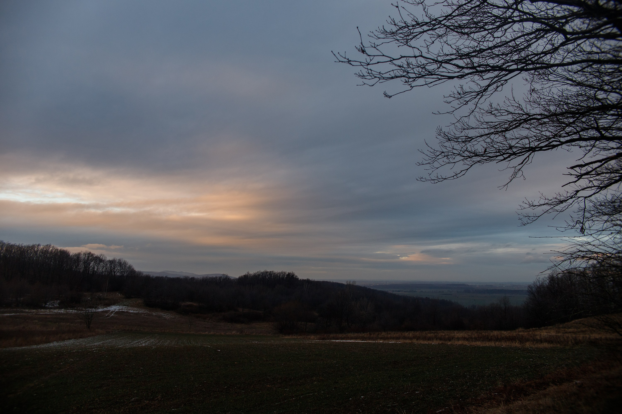 Bolków castle. Kaja | fotograf we Wrocławiu | ludzie i psy
