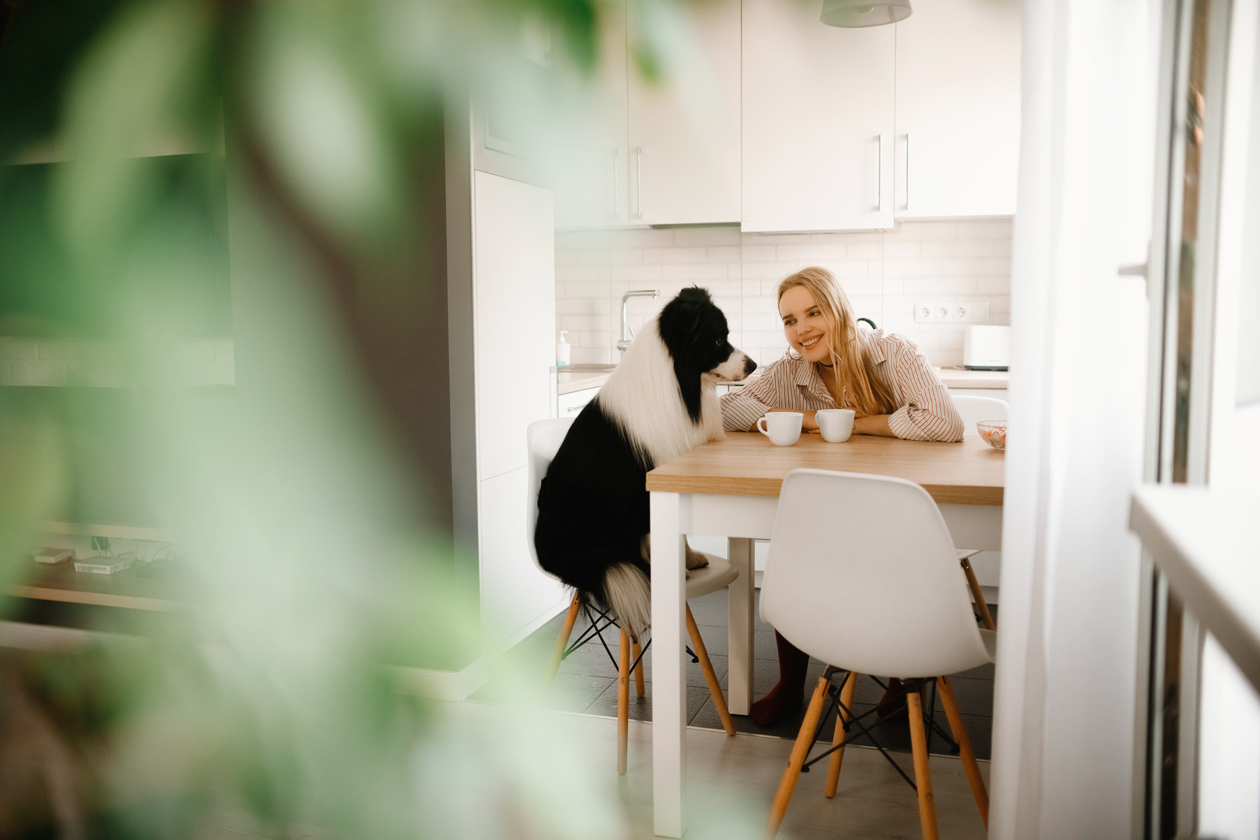 Evgenia & Richard. Kaja | fotograf we Wrocławiu | ludzie i psy