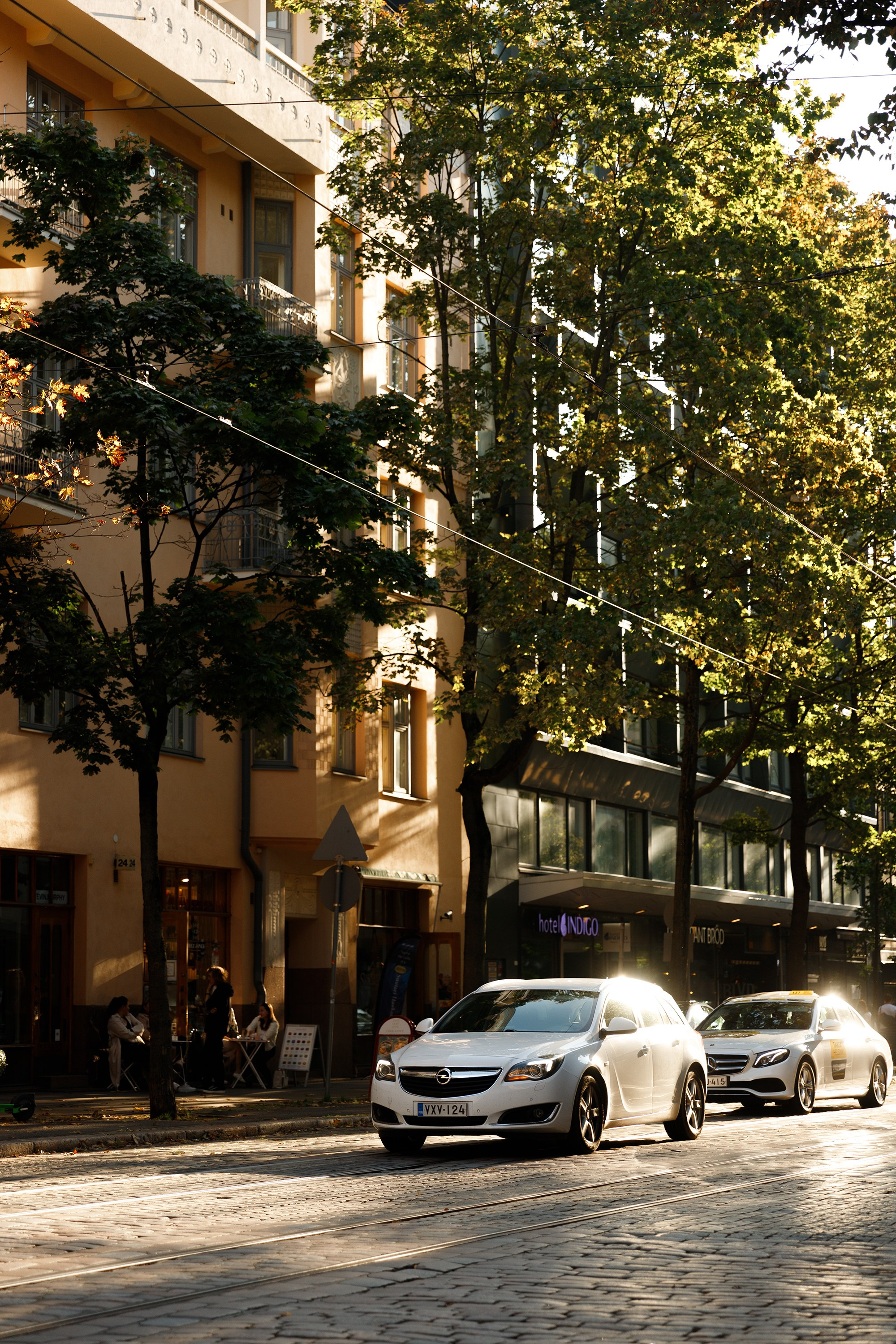 Helsinki. Kaja | fotograf psów we Wrocławiu