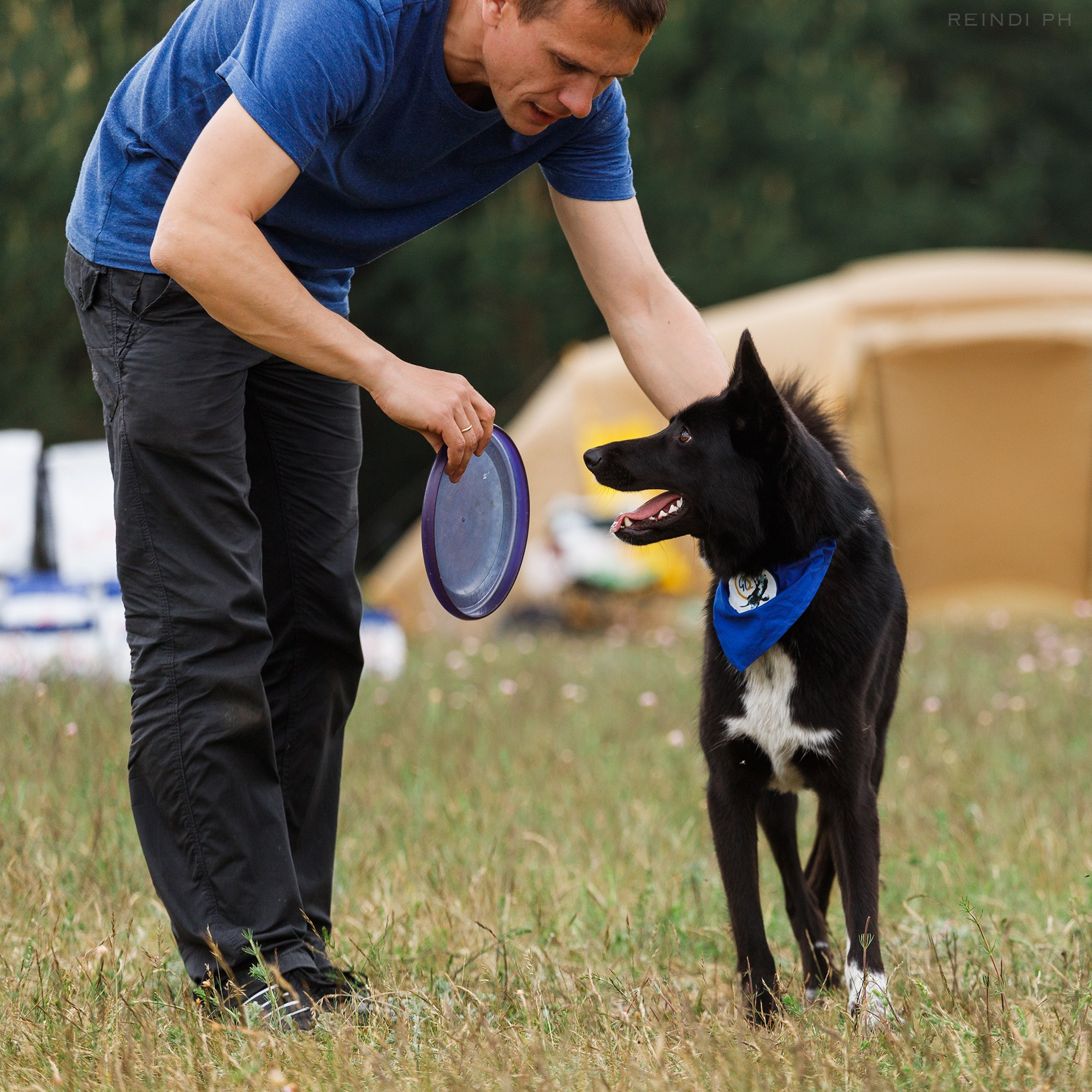 Dog frisbee championship | summer. Kaja | fotograf we Wrocławiu | ludzie i psy