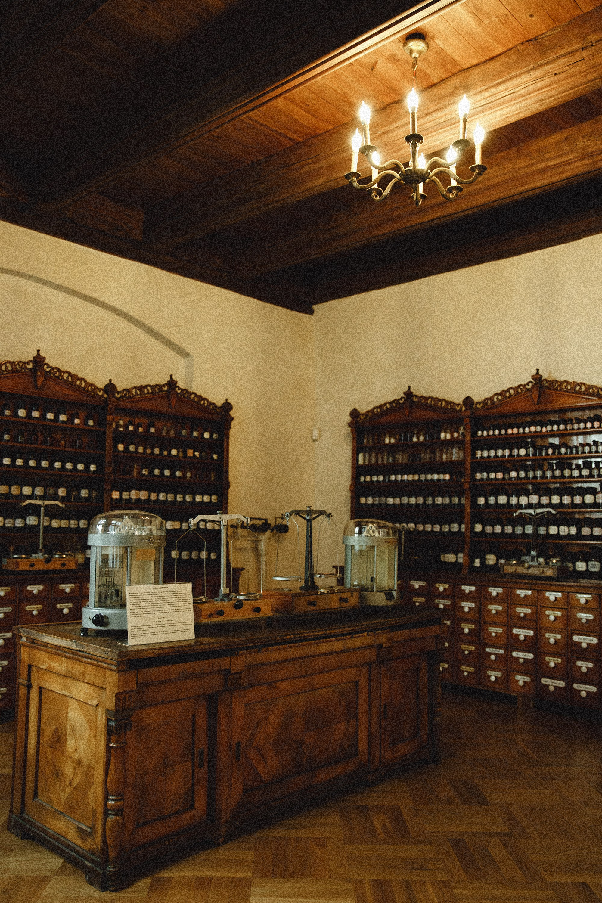 Museum of farmacy in Wroclaw. Kaja | fotograf we Wrocławiu | ludzie i psy