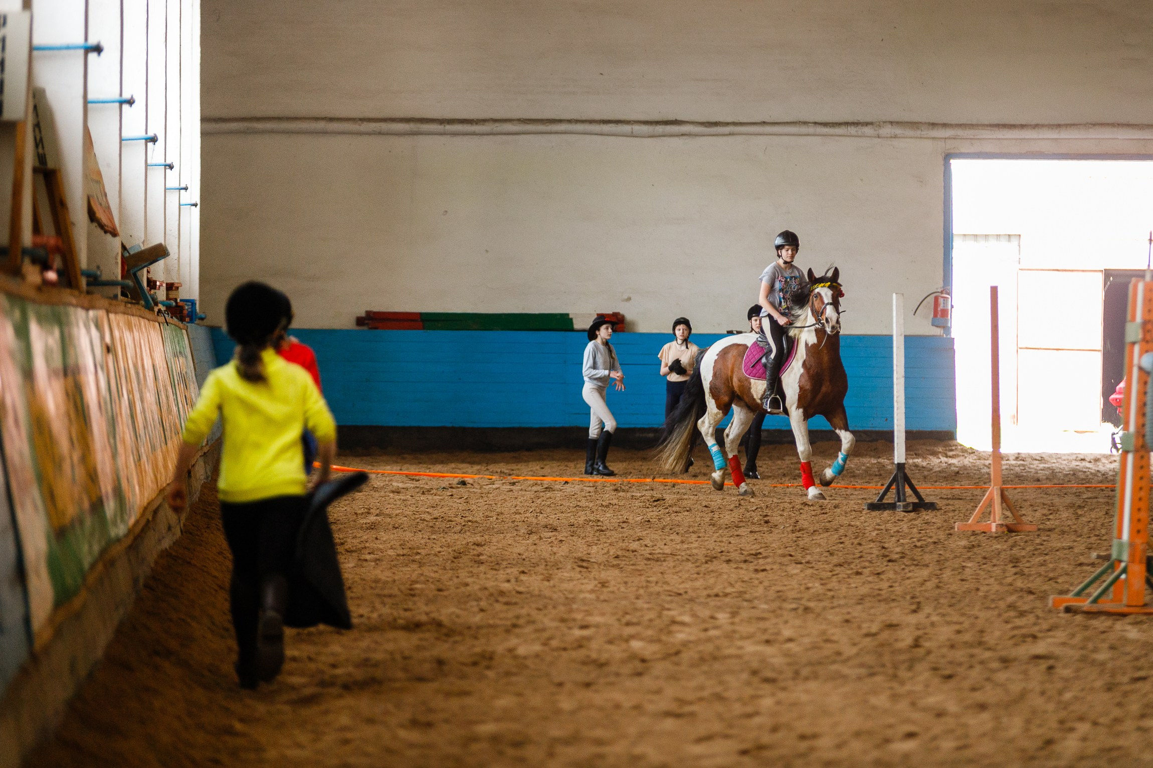 Horse winter games. Kaja | fotograf we Wrocławiu | ludzie i psy