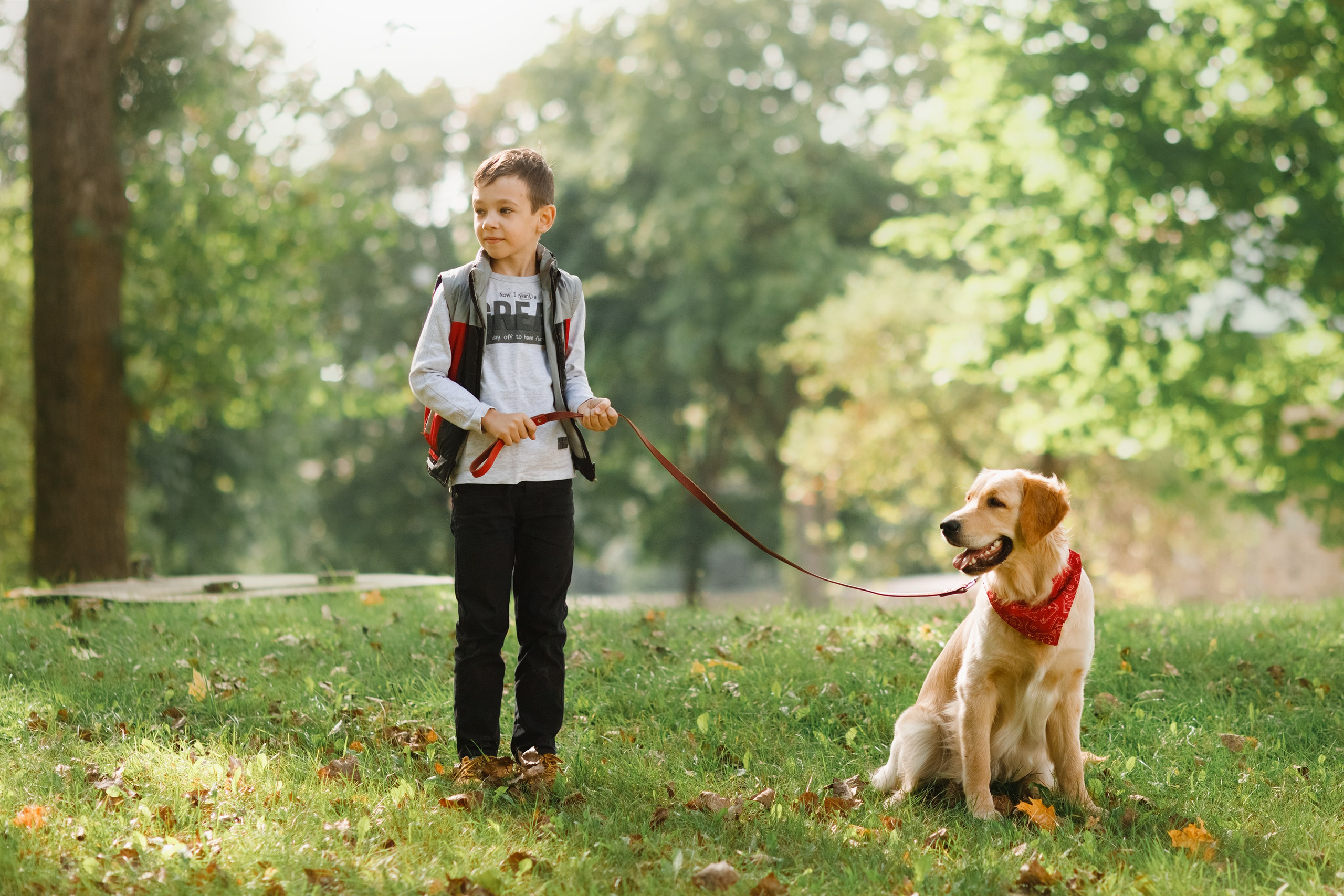 Summer photo day for dog handler. Kaja | fotograf we Wrocławiu | ludzie i psy