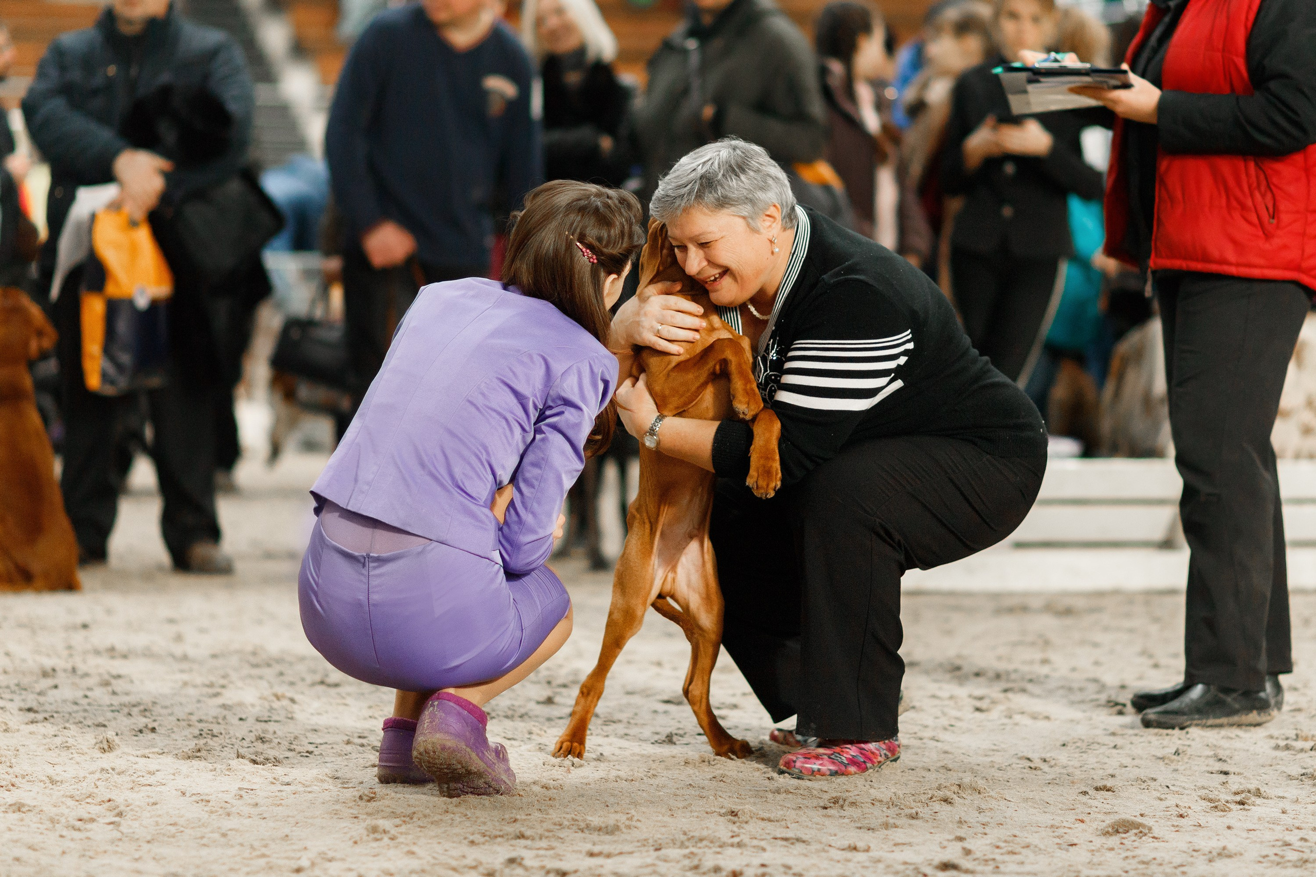 Dog shows | the best ones. Kaja | fotograf psów we Wrocławiu