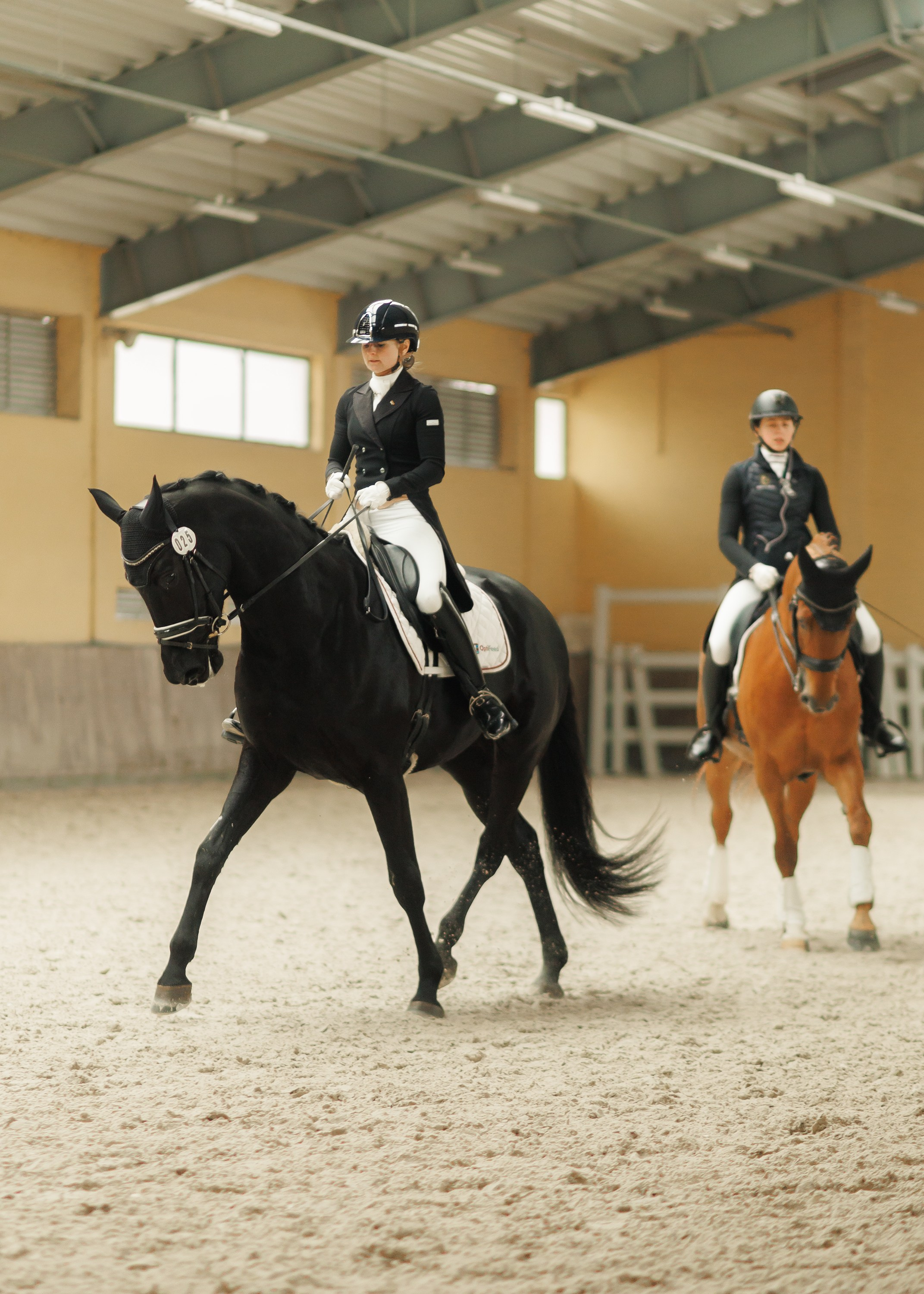 Partynice dressage \ feb'25. Kaja | fotograf we Wrocławiu | ludzie i psy