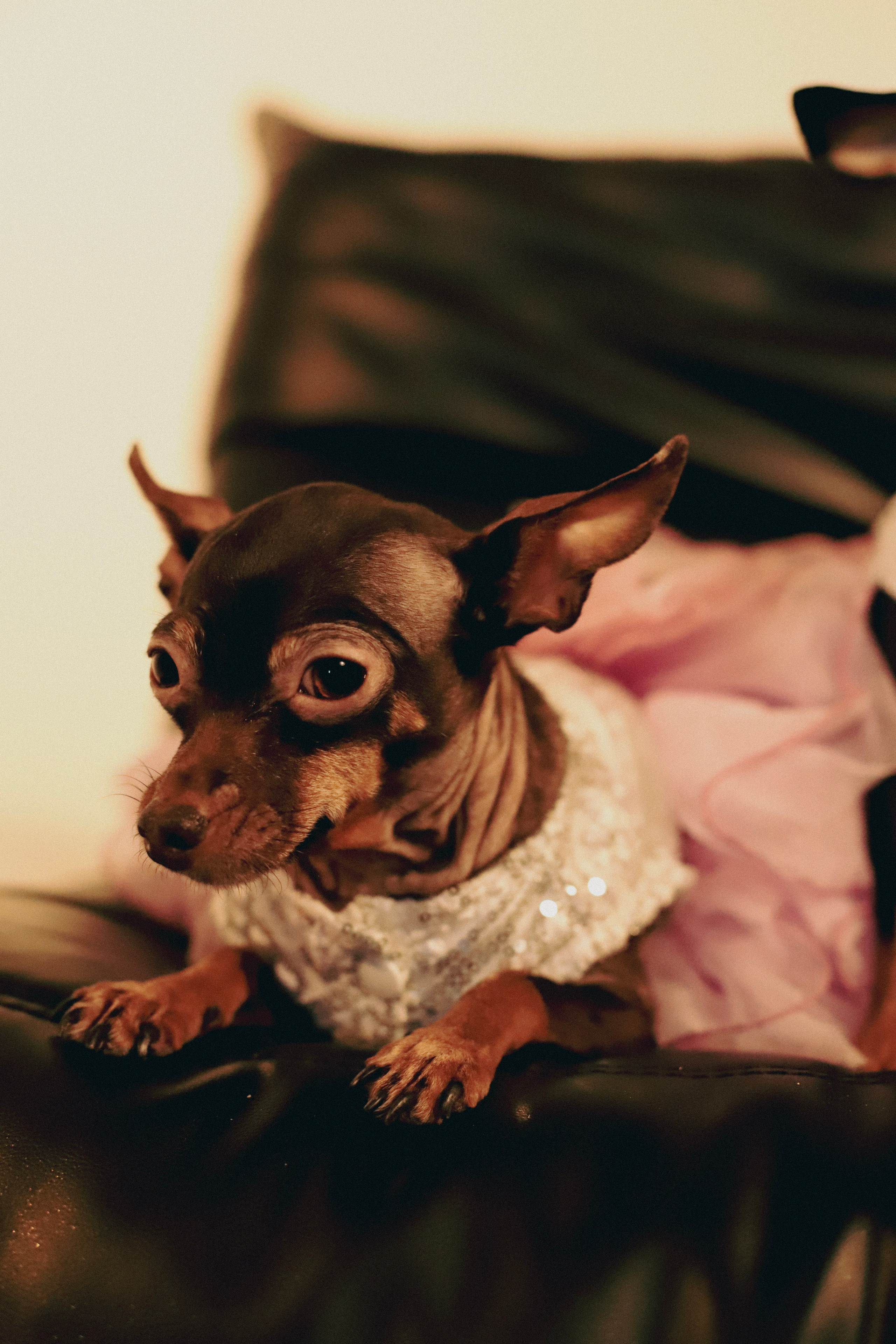 Victoria. VALERIIA VIUNOVA individual shooting\love story\event\brand