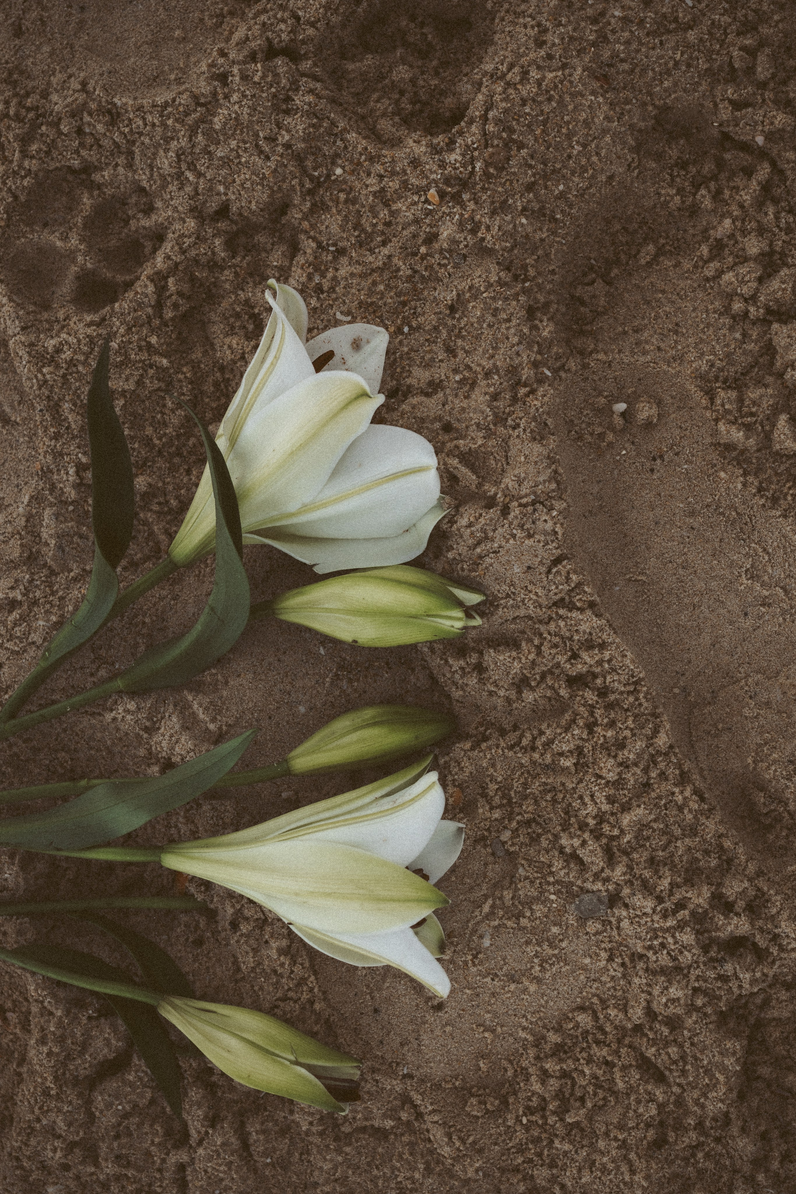 Документальный фотограф в Израиле Кристина Зингер