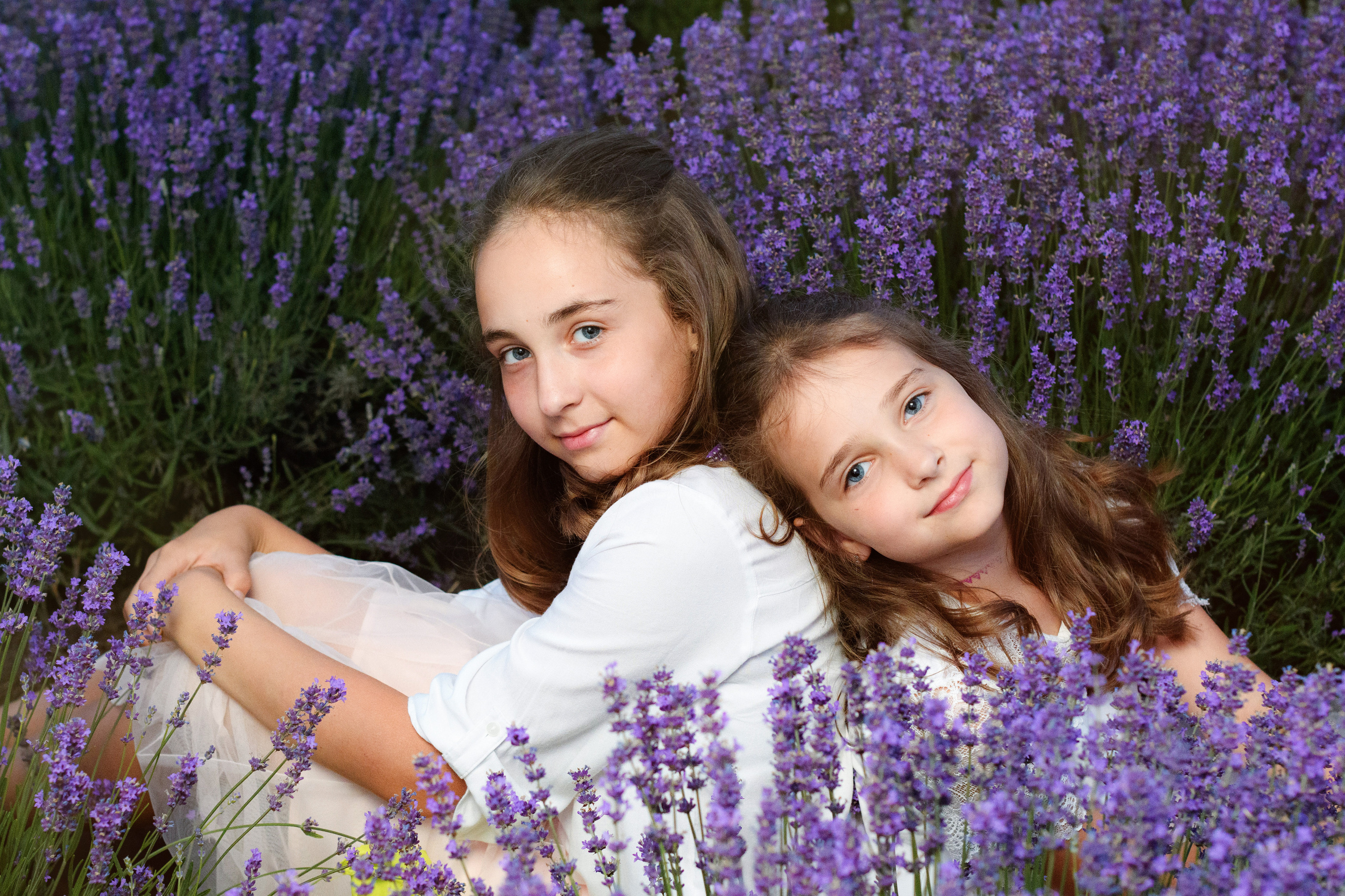  лаванда — это такой цветок, у которого запах похож на запах свежескошенной травы