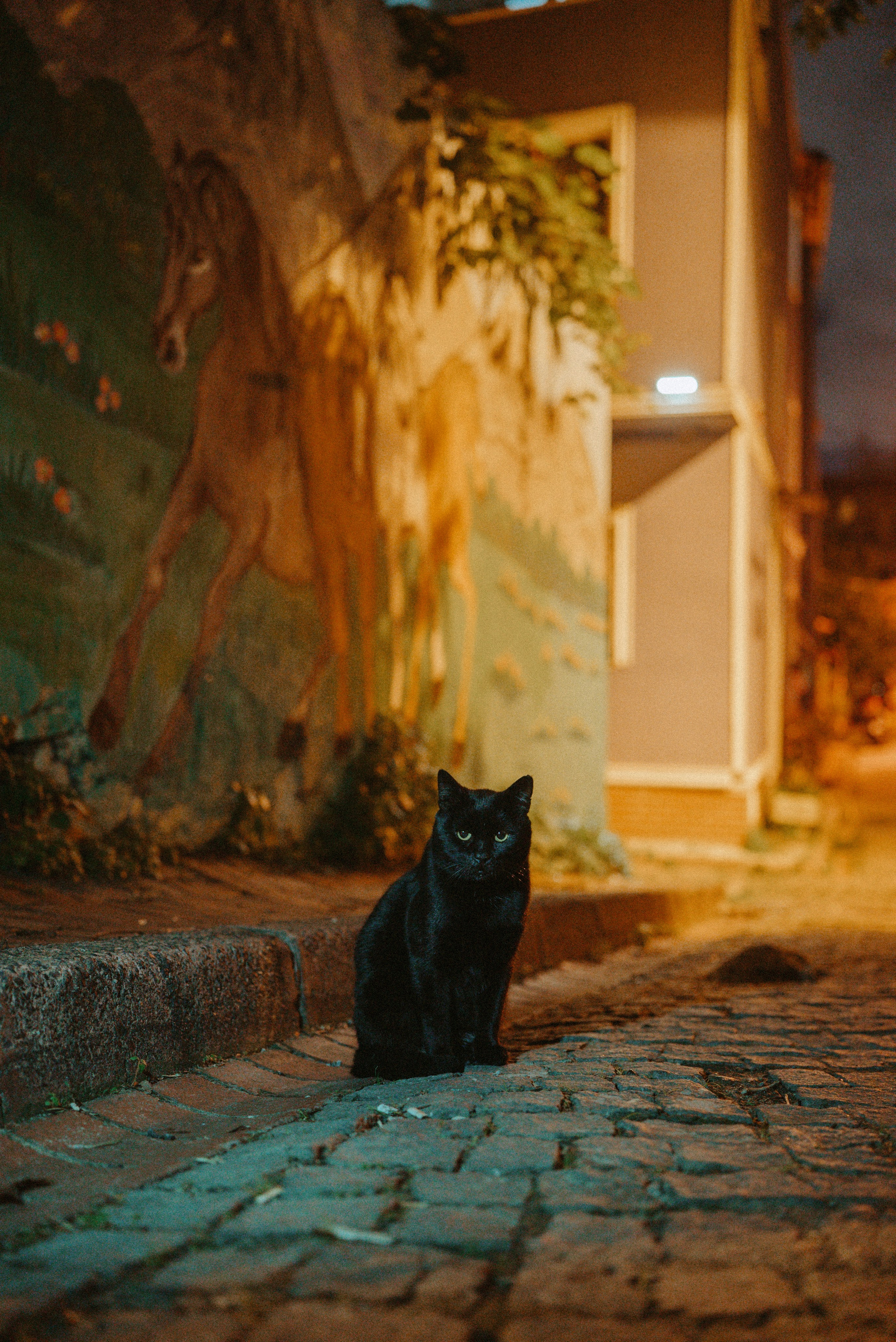 СТАМБУЛ. Стрит-фотография, полная абсурда, идиотизма и красоты