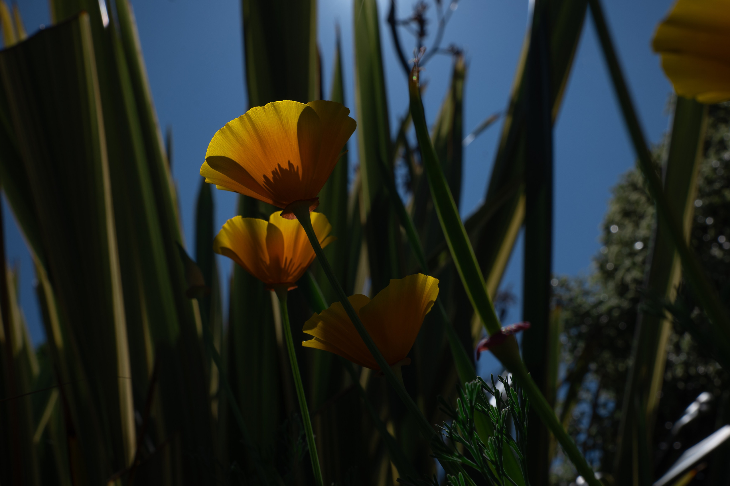 La Nature et architecture. Portrais créatifs de familles et individuels, Ile et Vilaine, France