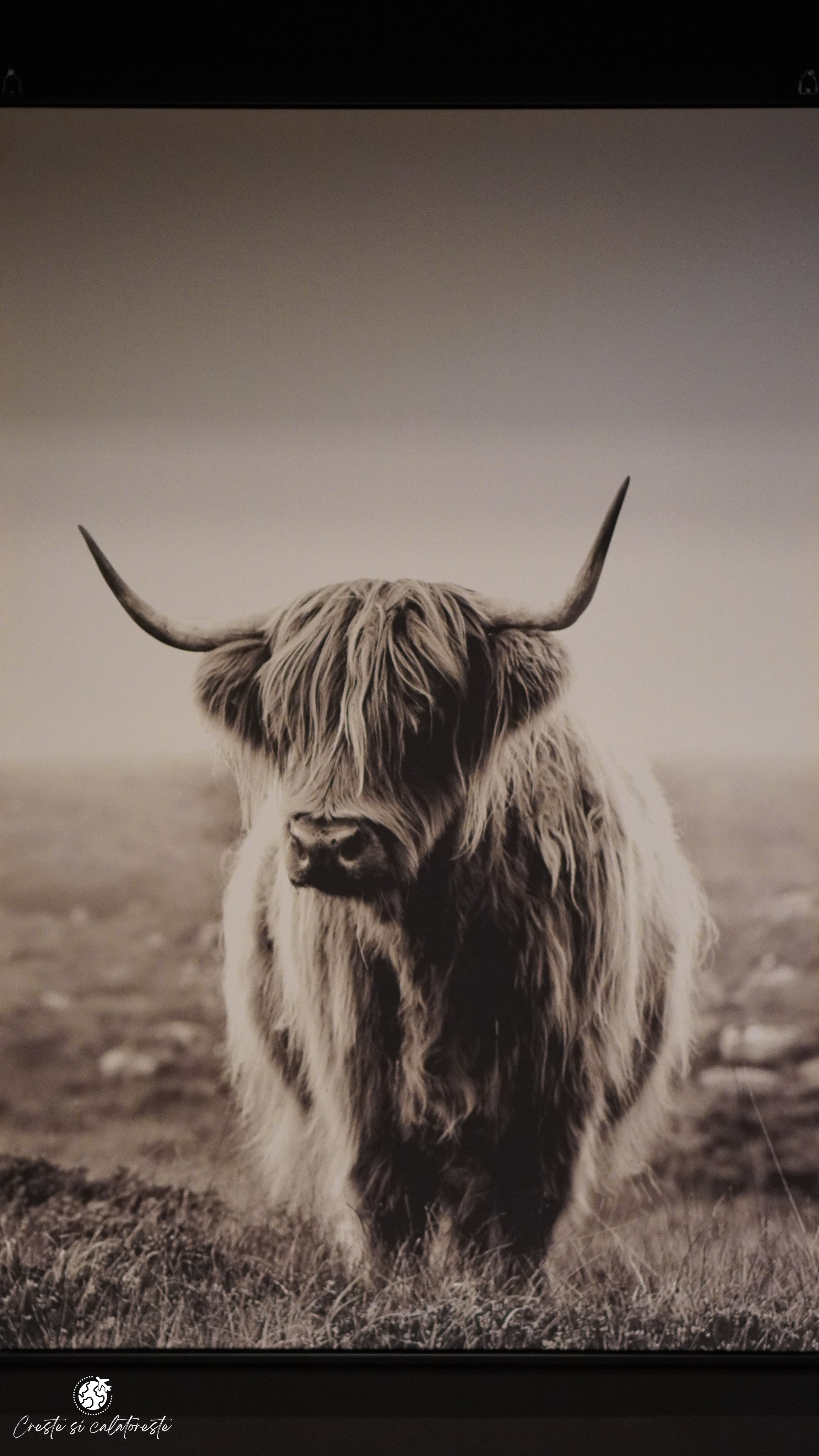 Bransilvania. Creste si calatoreste