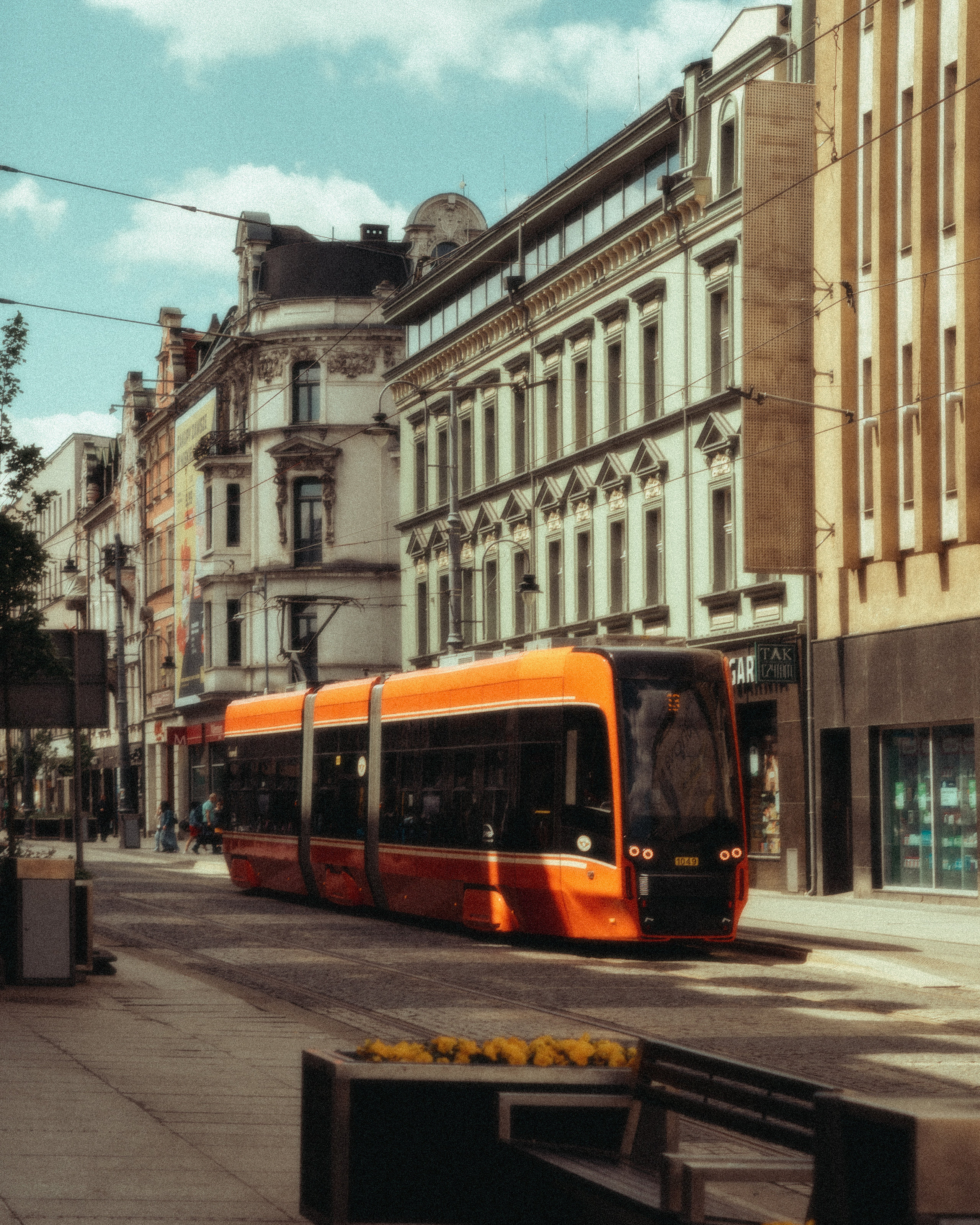 Roaming. Mike Avelli