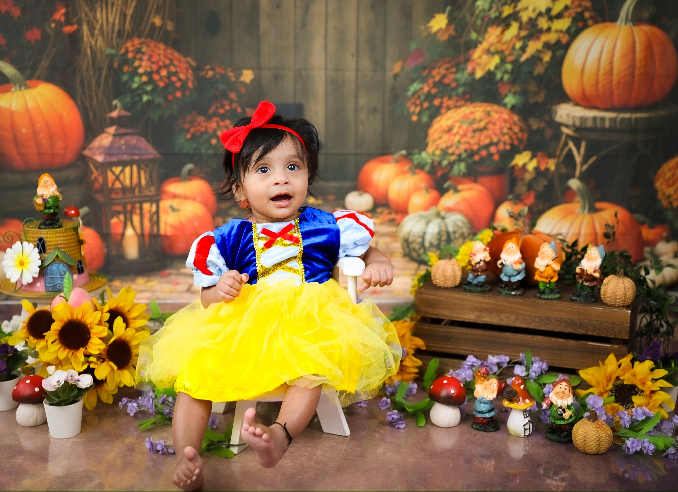 AP Lens Photography | Newborn, Maternity, Milestone & Family Photographer Little Elm TX