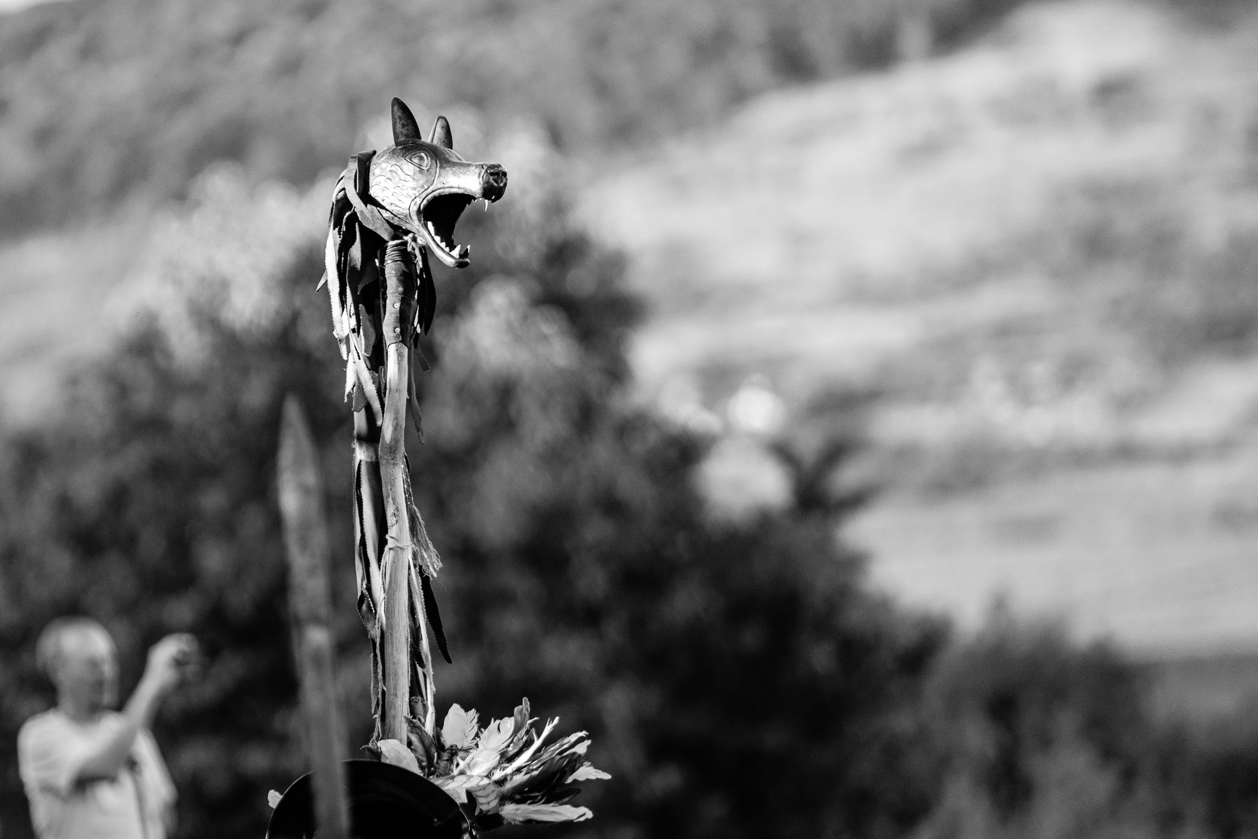 Festivalul GETODAVA - Iasi