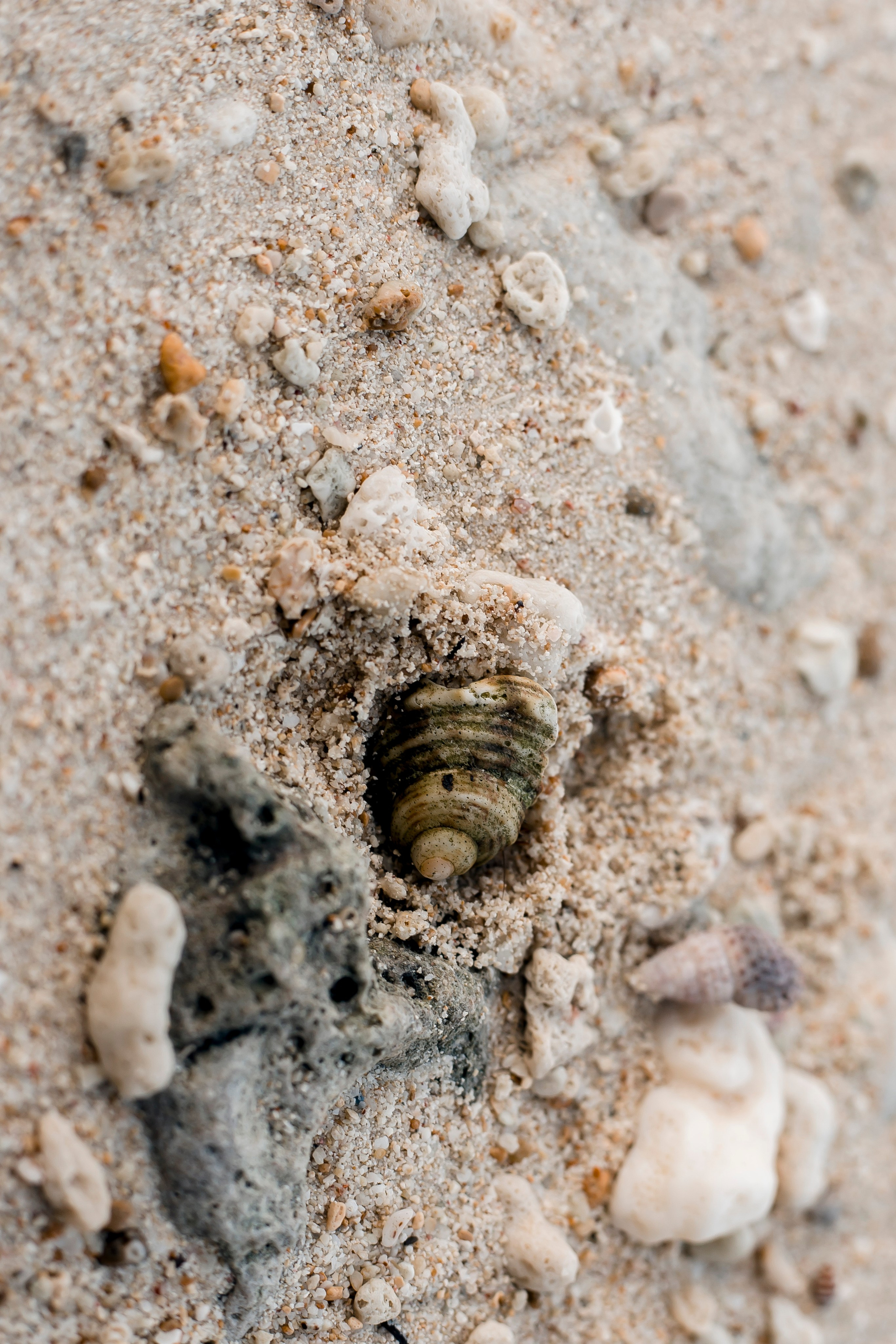 Andaman Islands, Part2. Art Photographer