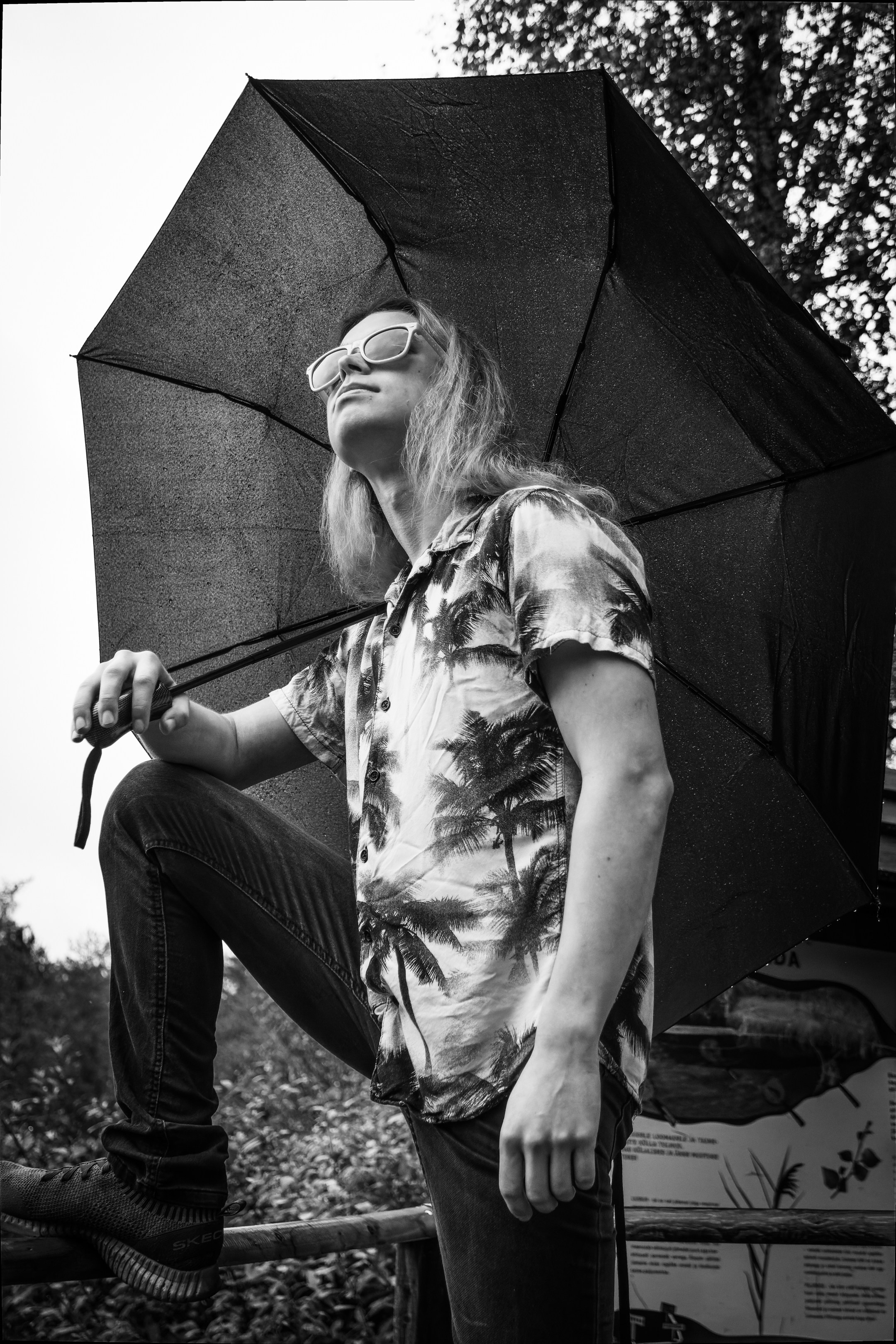 Mets, vihm ja jahedus (Dimitry). Nebula 25 — Fotod teie hingele