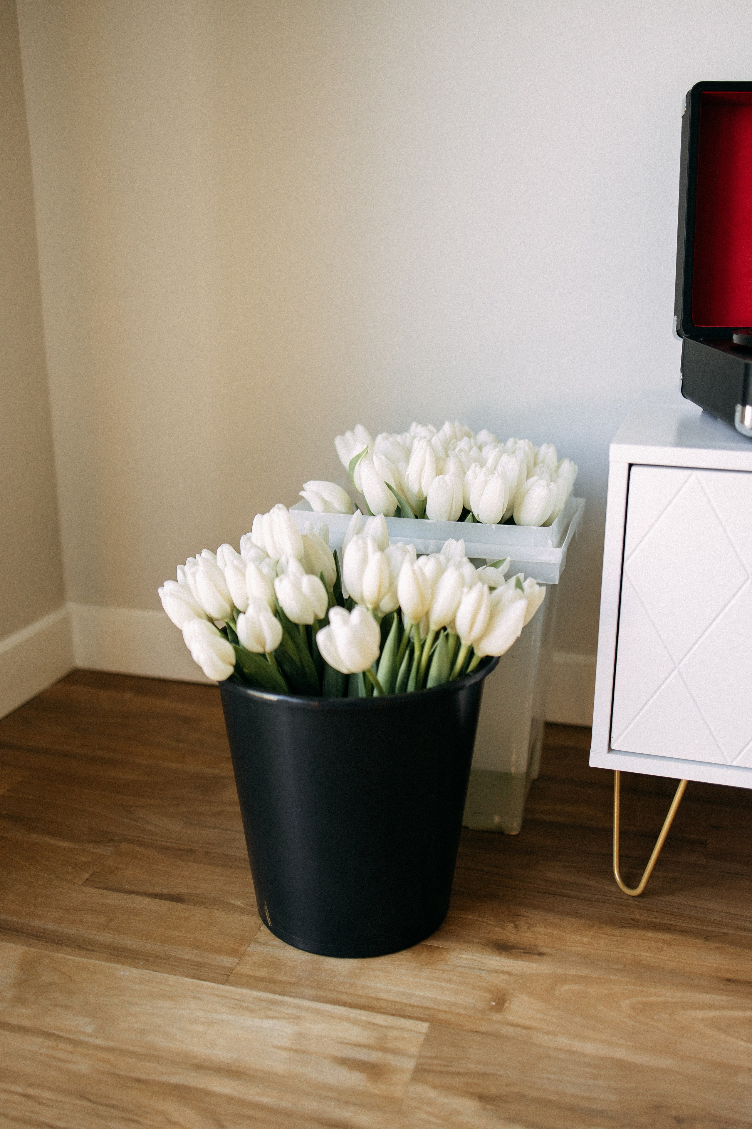 Mike&Anastasia. Professional photographer in Minnesota, Alina Volkova