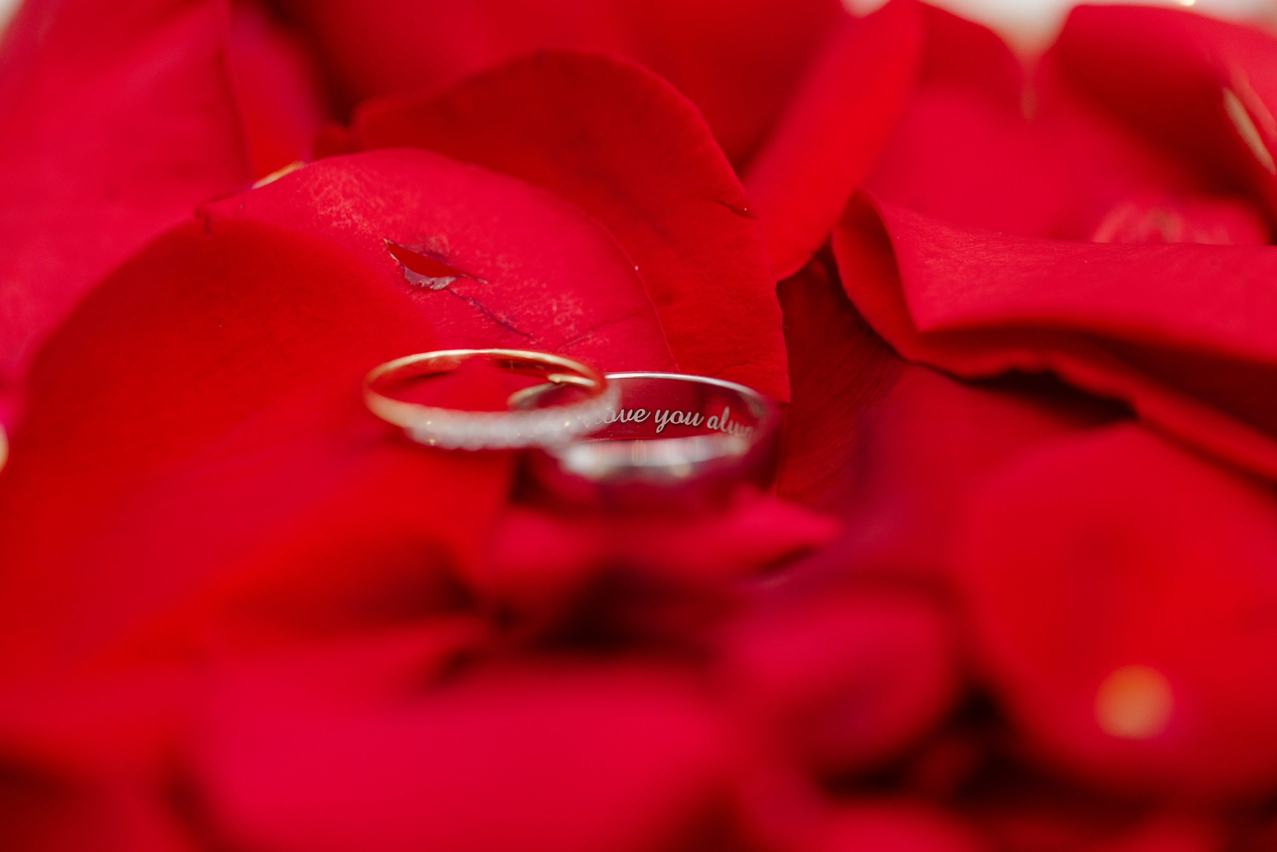 Hafsa & Moeez. Usama Mohaar