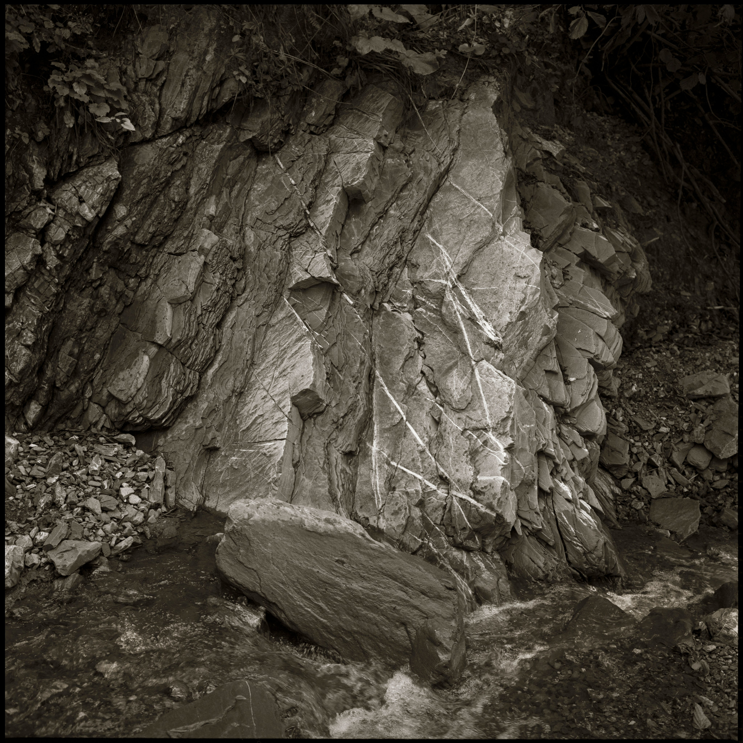 NATURE. Www.sananaleskerov.com