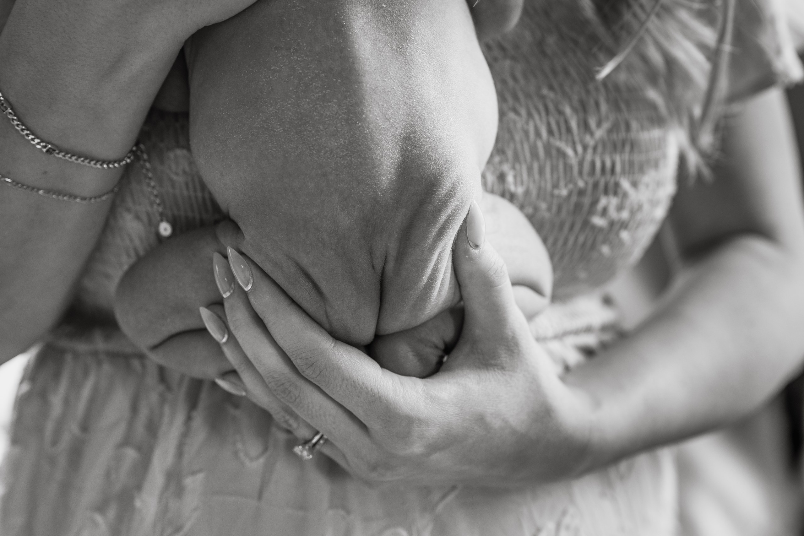 Amanda, Christopher, Christopher, Rocky. Alisa Tant — Family and newborn photographer Bucks County, Montgomery county, Philadelphia, NJ
