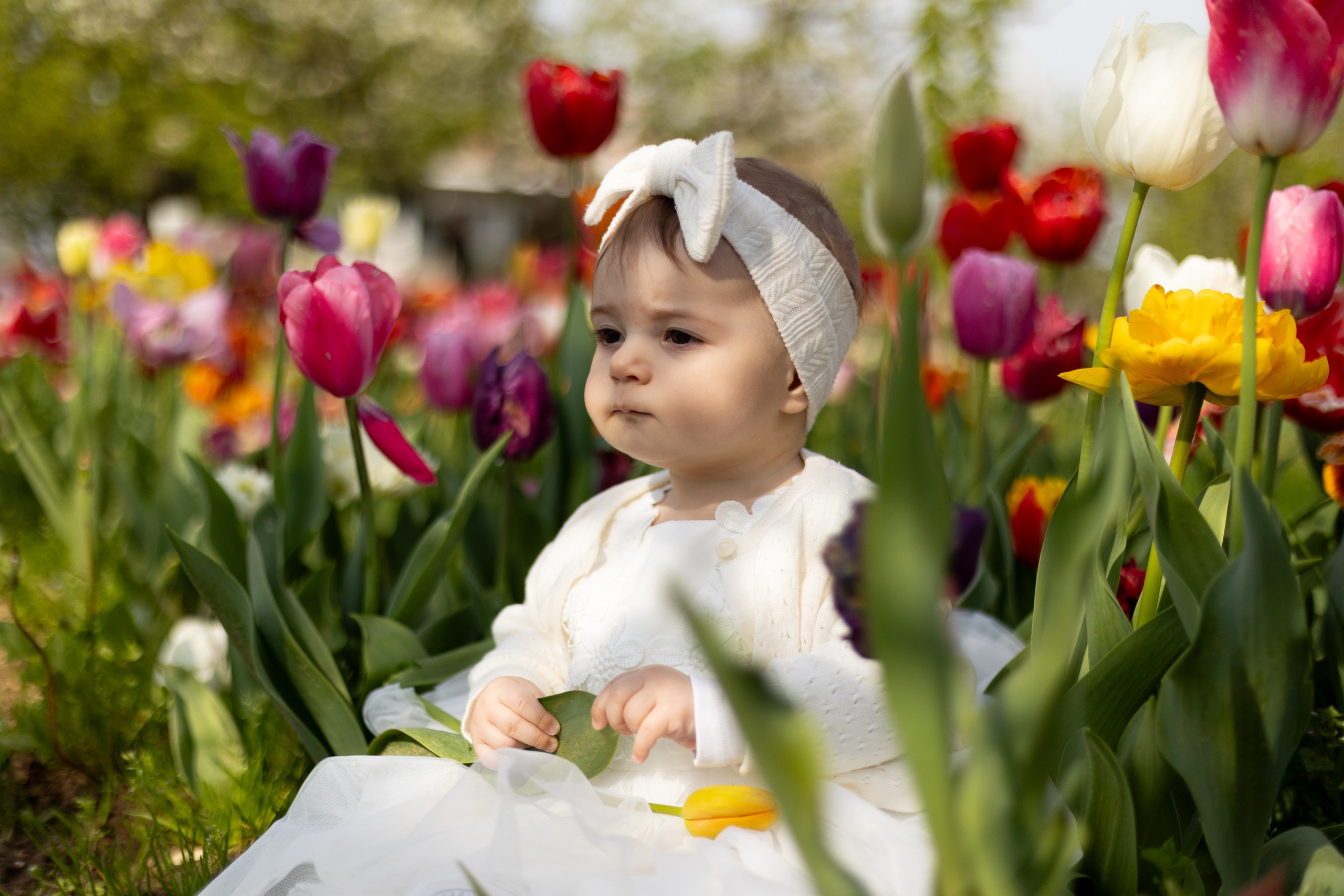 Camilla, Annalisa e Vanni. Luci e Capricci Photography