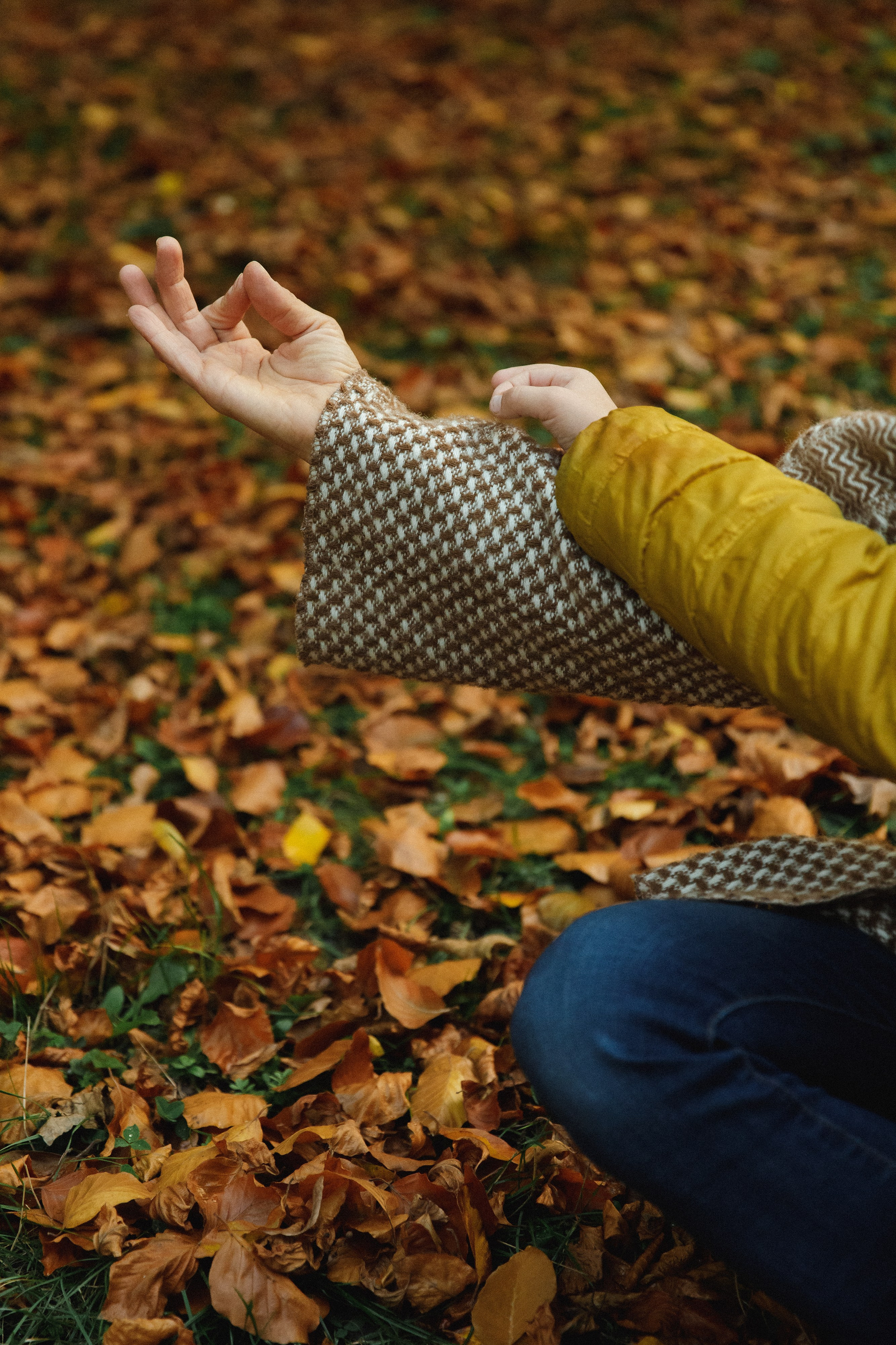 Tatiana & Adam. Kaja | fotograf psów we Wrocławiu