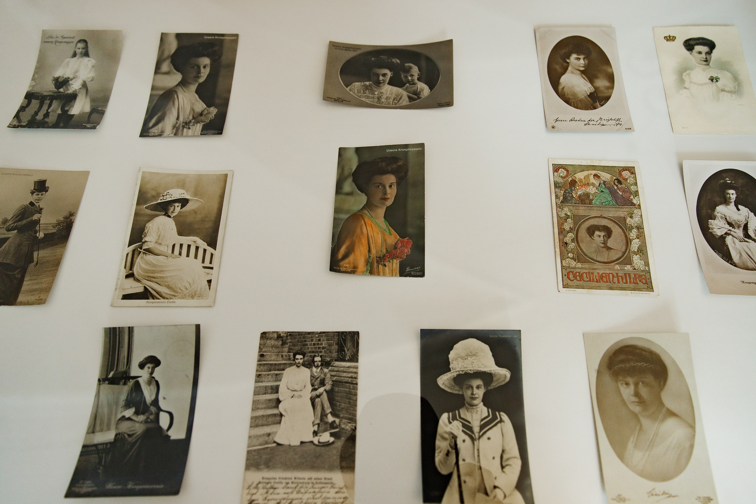 Oleśnica castle. Kaja | fotograf psów we Wrocławiu