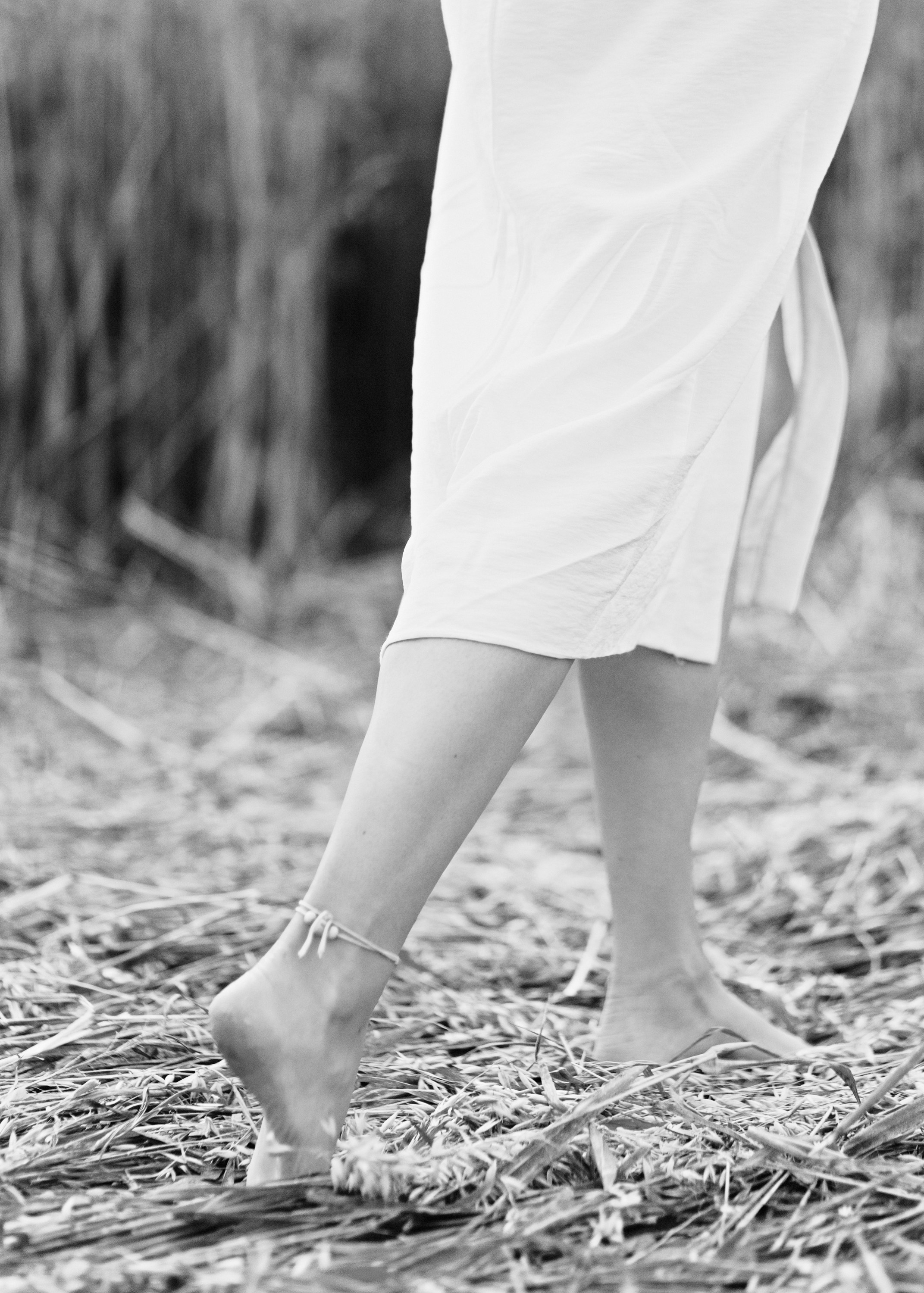 Katya | tenderness in the field. Kaja | fotograf psów we Wrocławiu