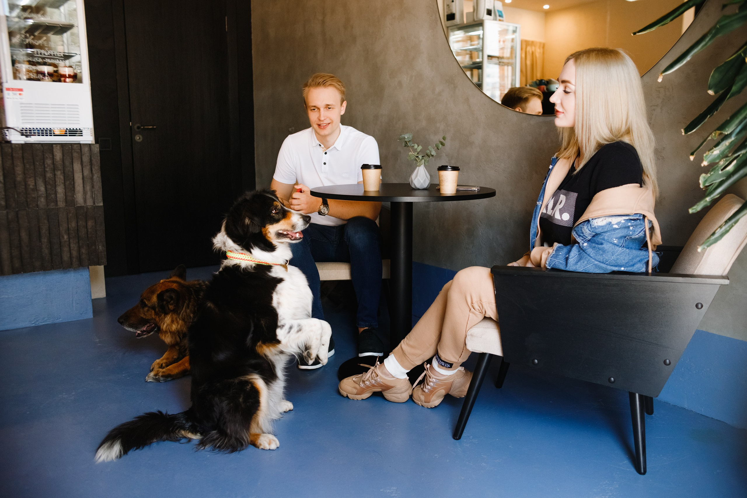 Dog trainer blog content. Kaja | fotograf we Wrocławiu | ludzie i psy